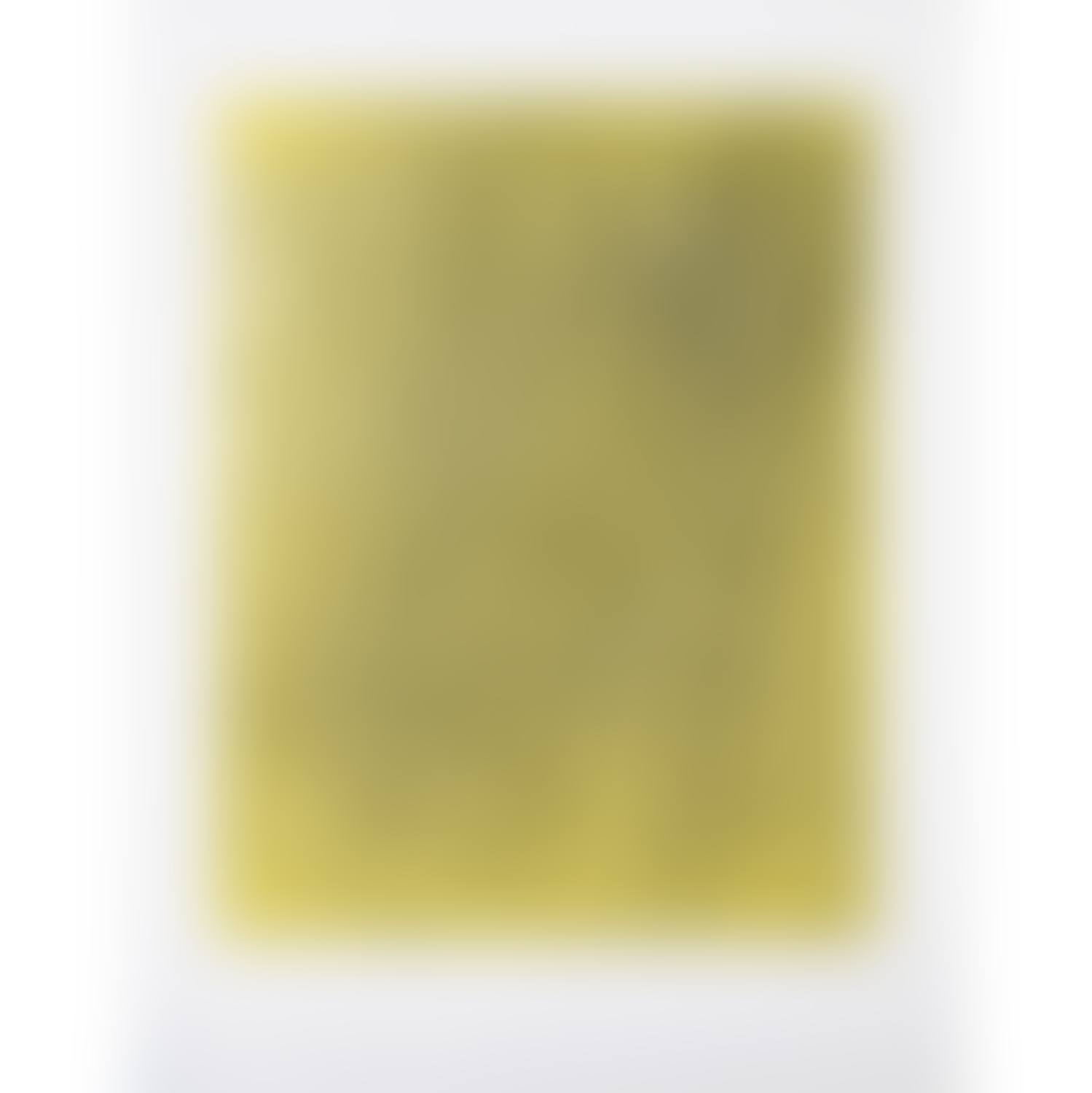G 1973-13, from the portfolio "Requiem for the end of times" (preview)