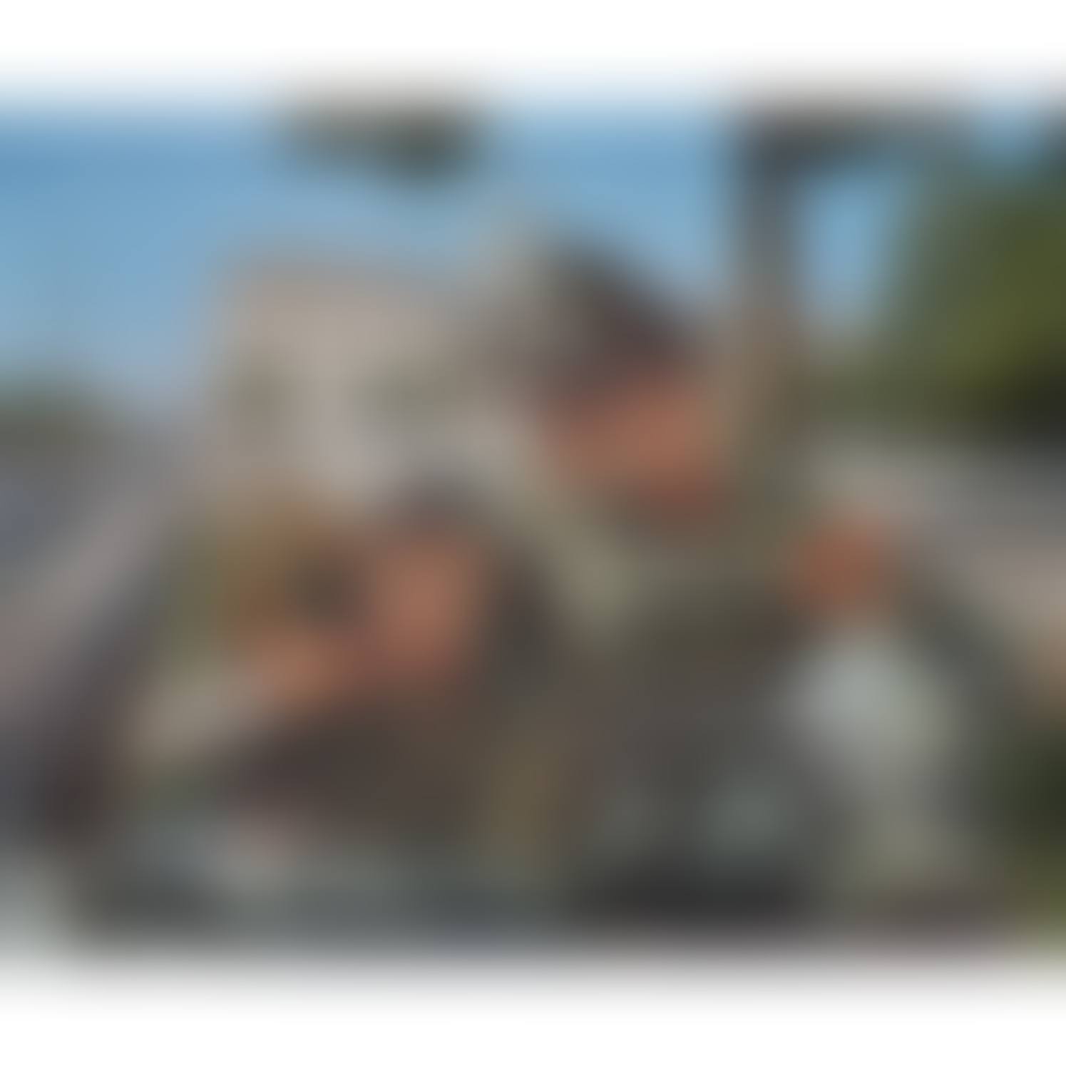 Untitled (preview)