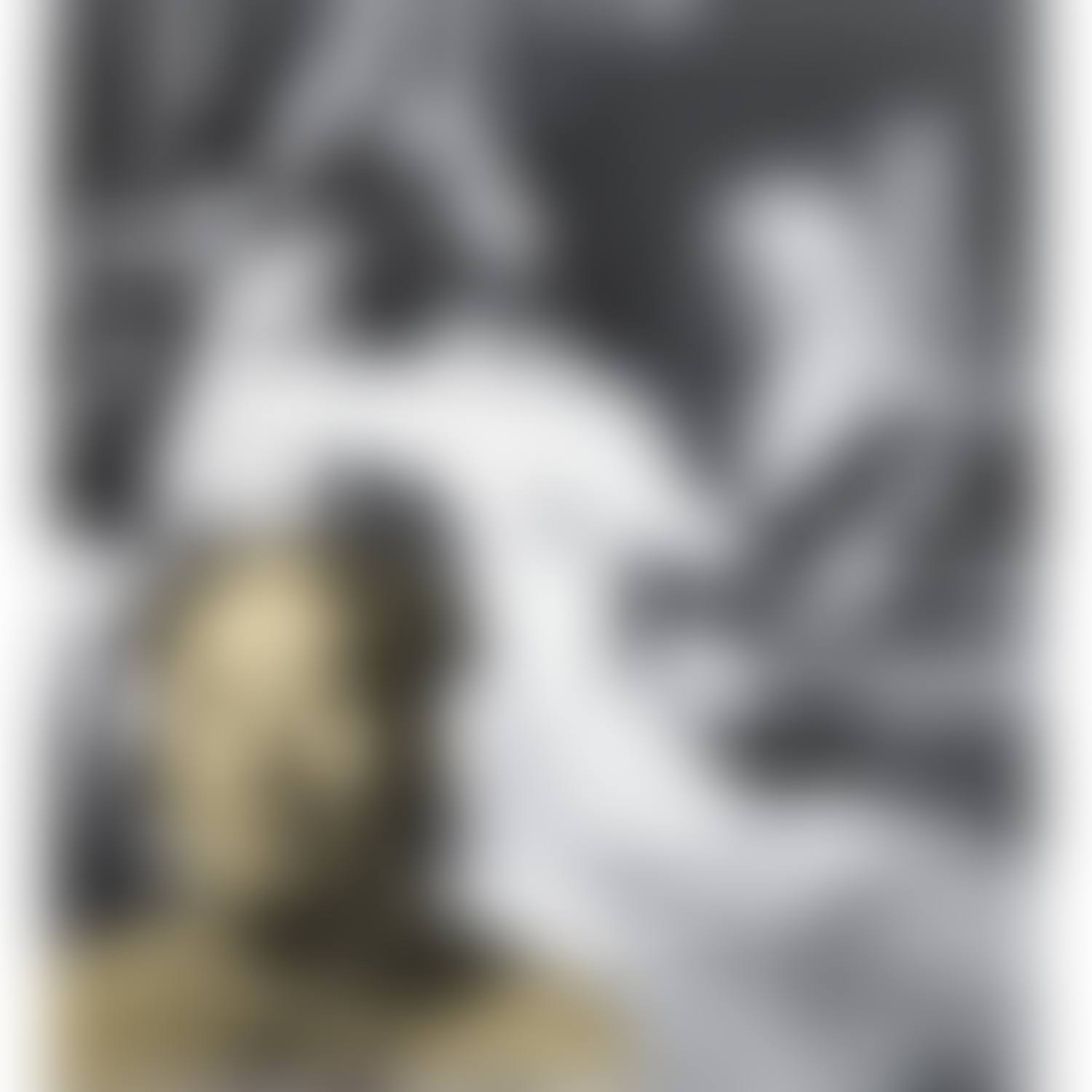 Mao and Concubine (preview)