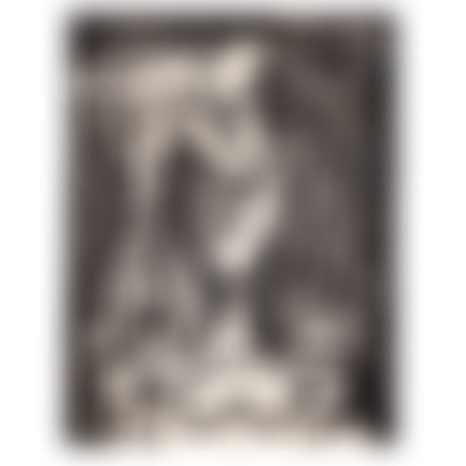 Figure composée I (preview)