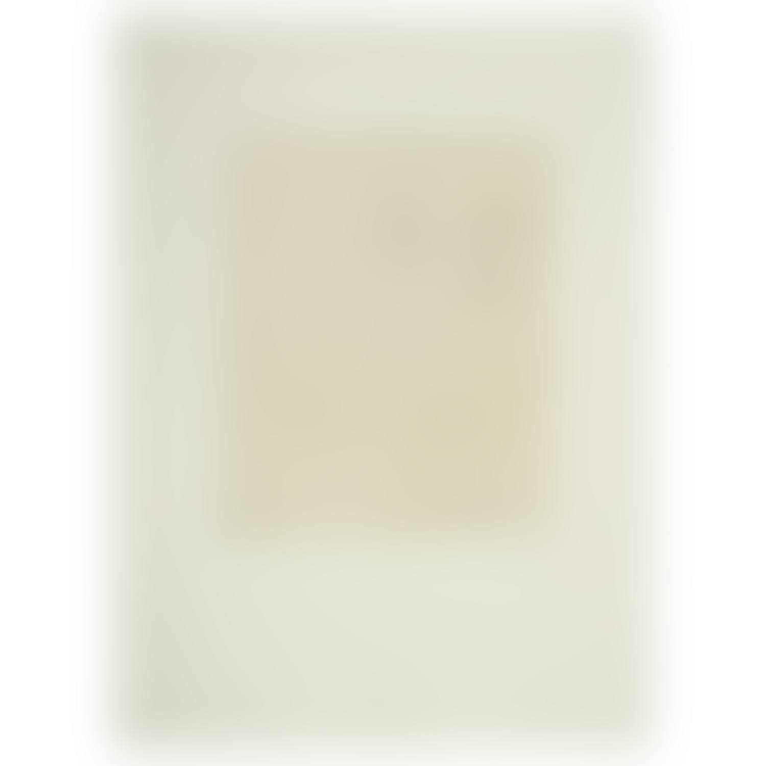 Singe au miroir (preview)