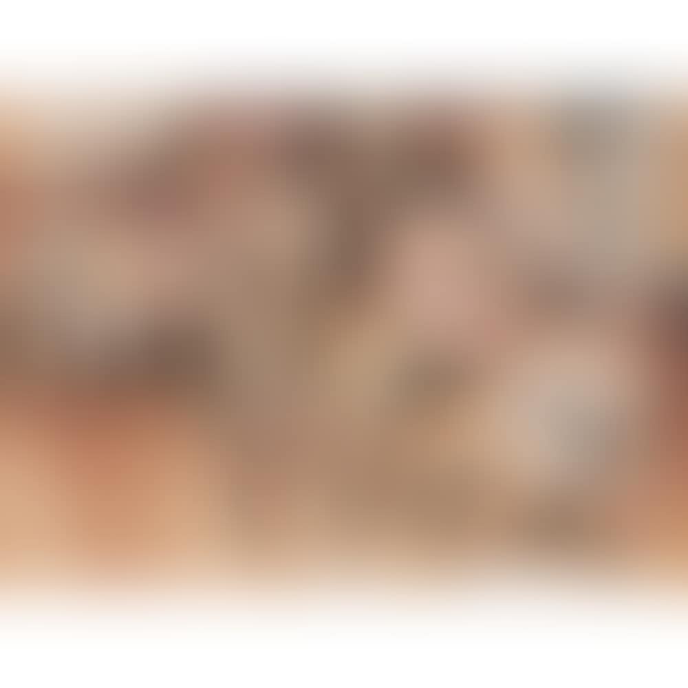 Untitled (preview)