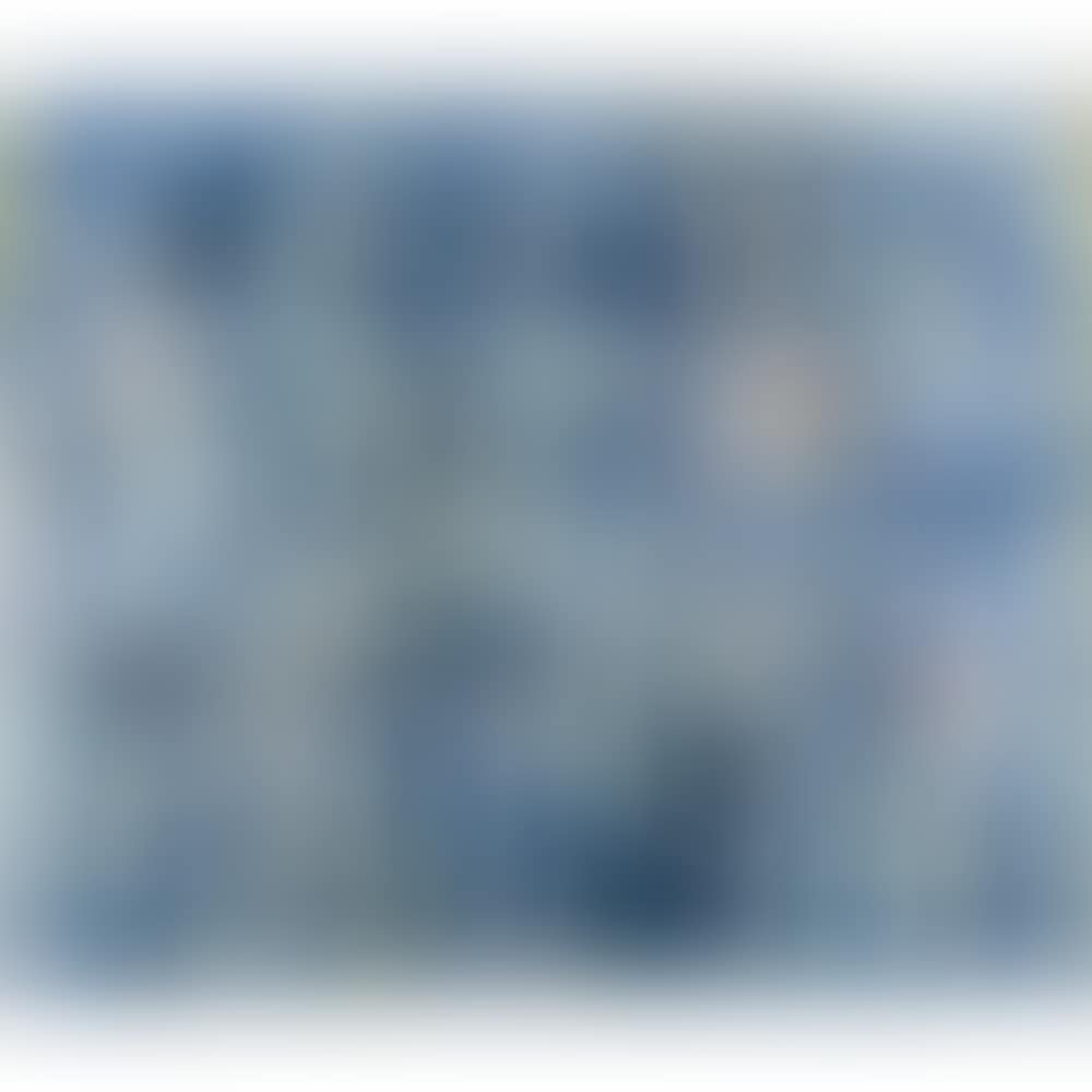 Women of the Arc (preview)