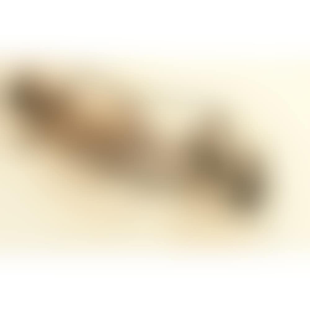 Nu couché de dos; Nude lying from behind (preview)