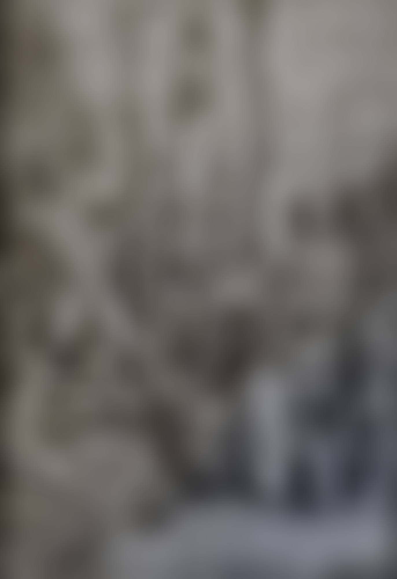 A scene of Martyrdom (preview)