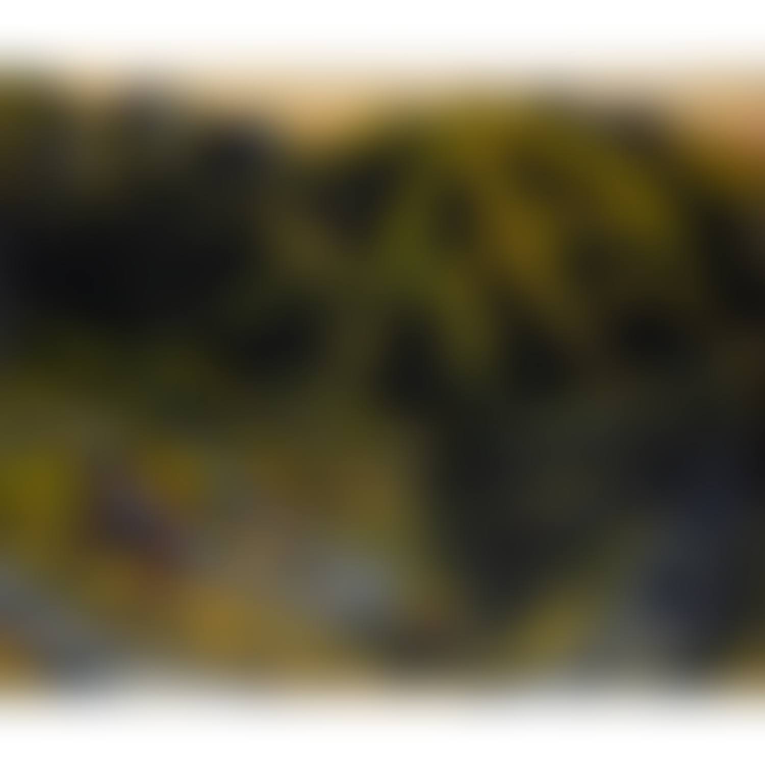 Pisspanorama II (preview)