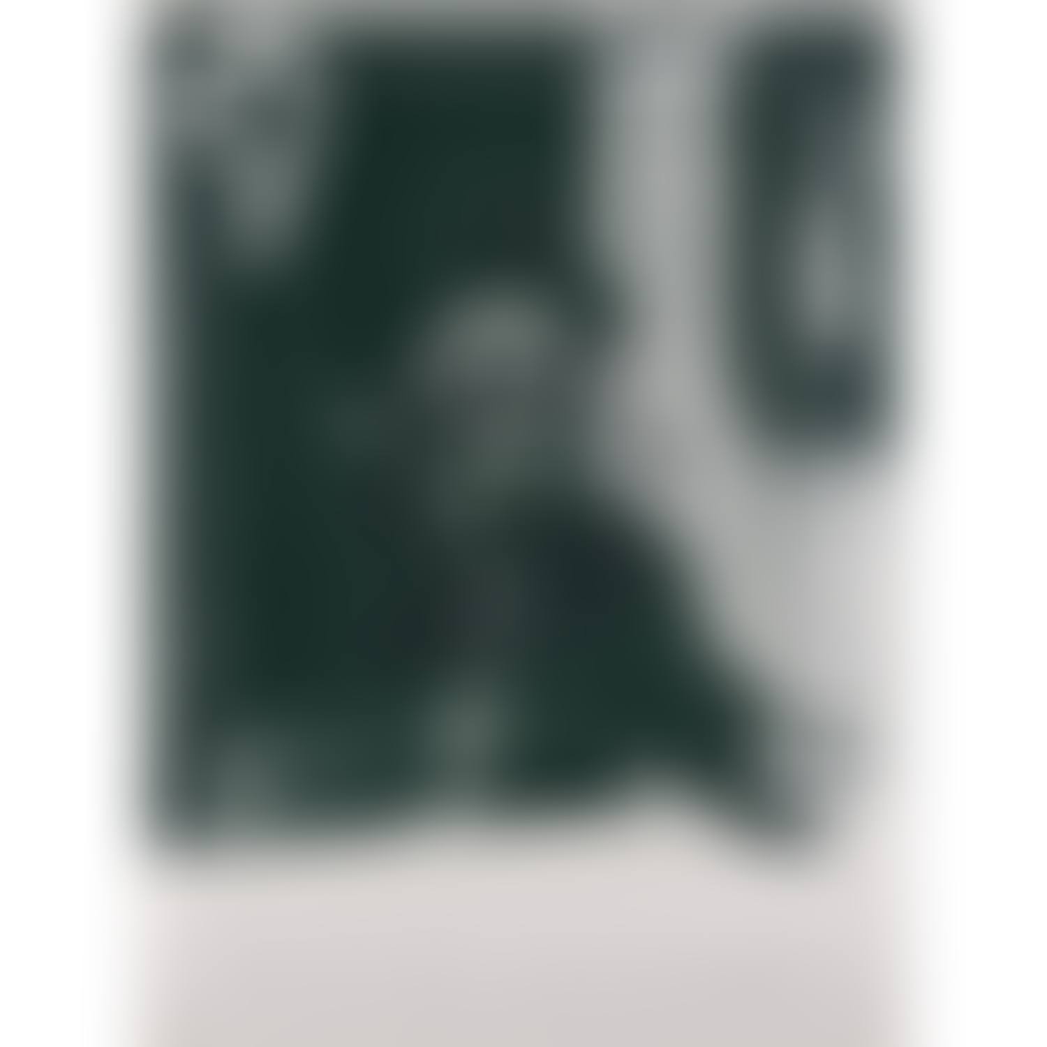 Oculist Witnesses (Marcel Duchamp) (preview)