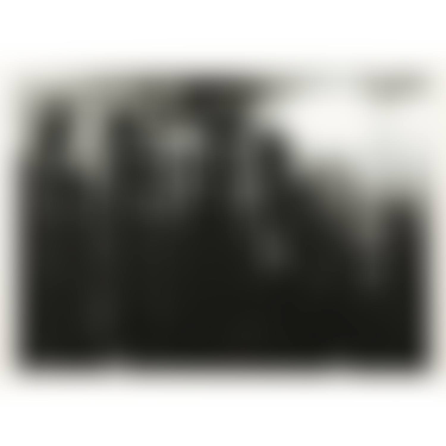 Untitled (Riot cops) (preview)