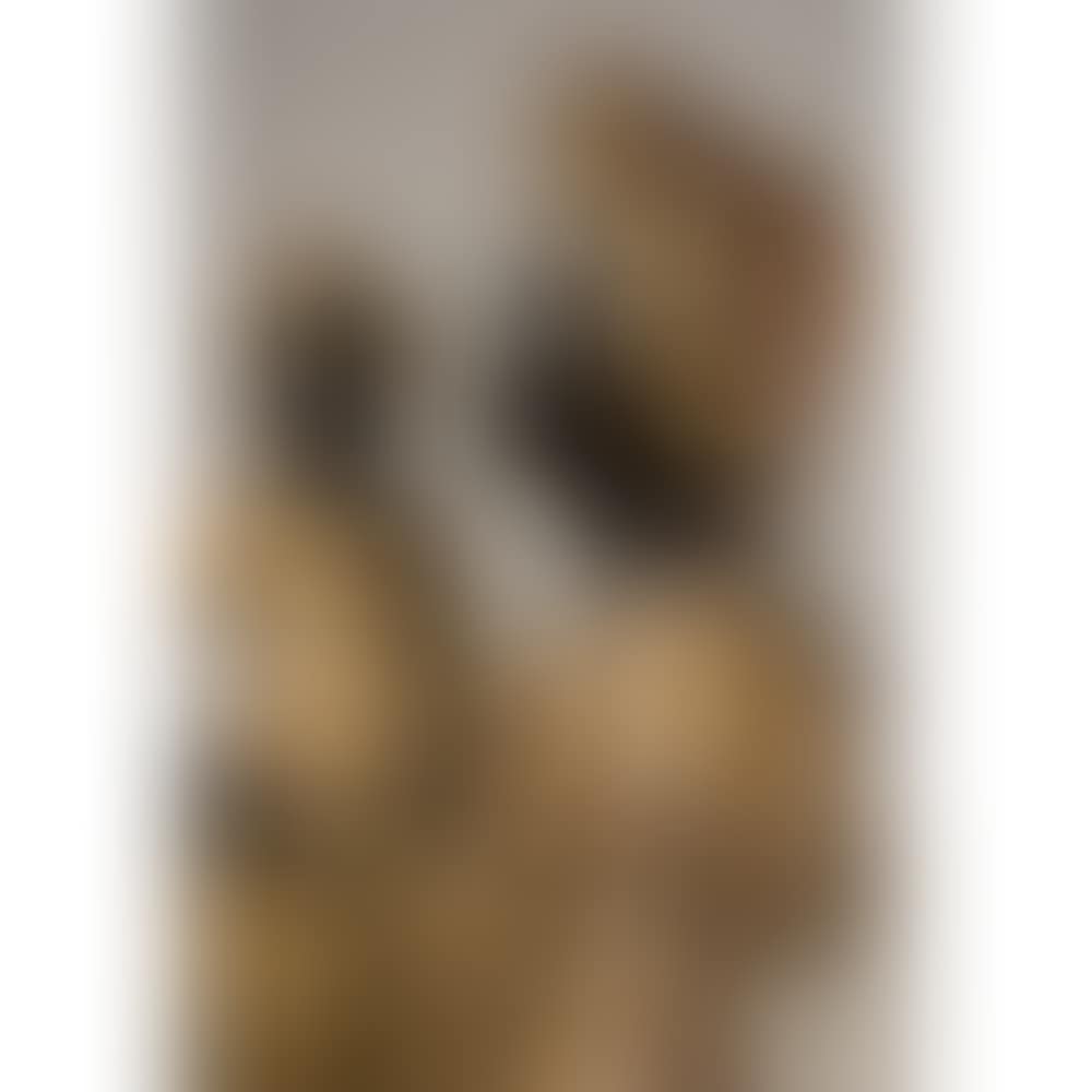 Pair of Nubian servants in carved wood
polychrome and gilded round-shaped (preview)