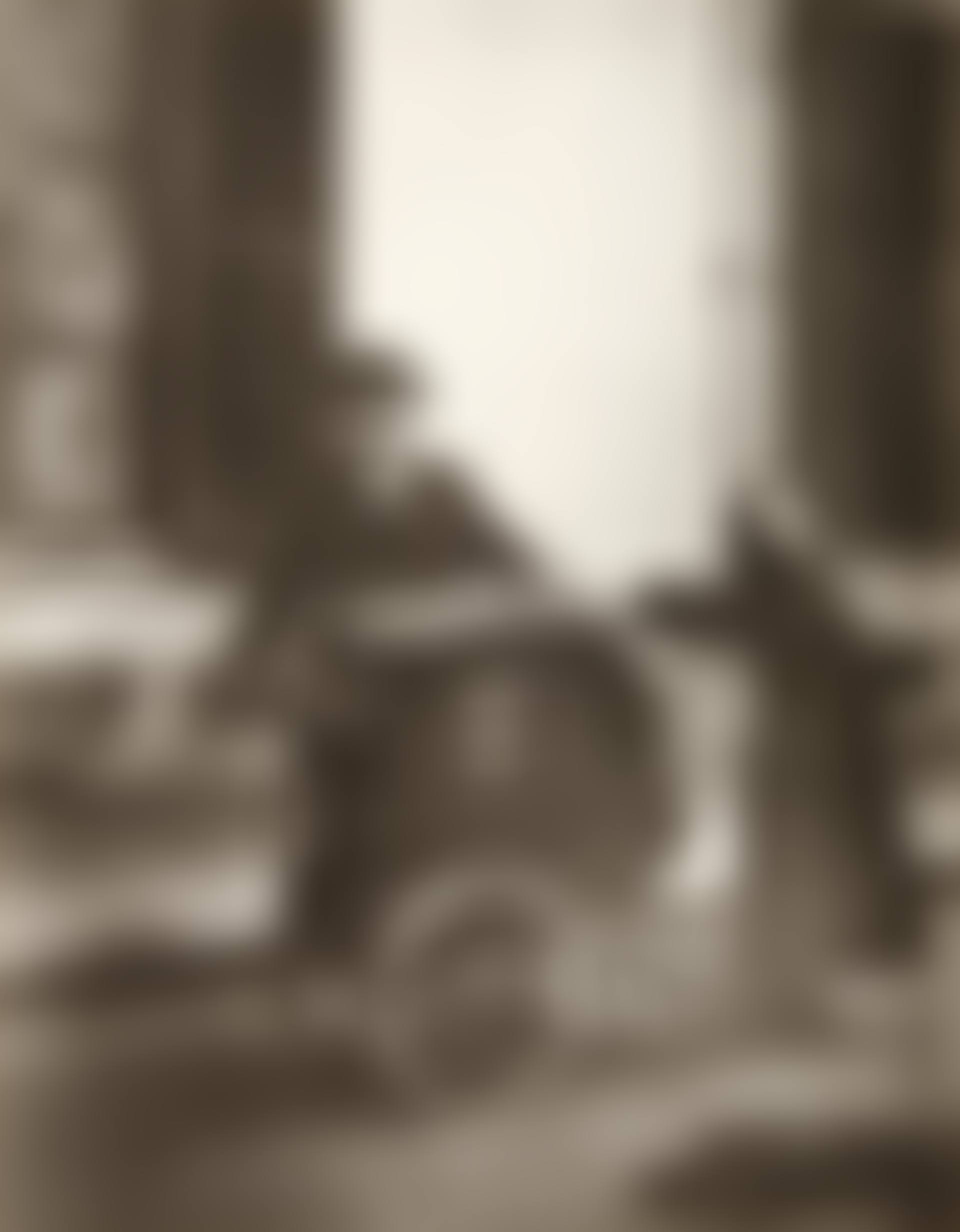 Joueur d"Orgue (preview)