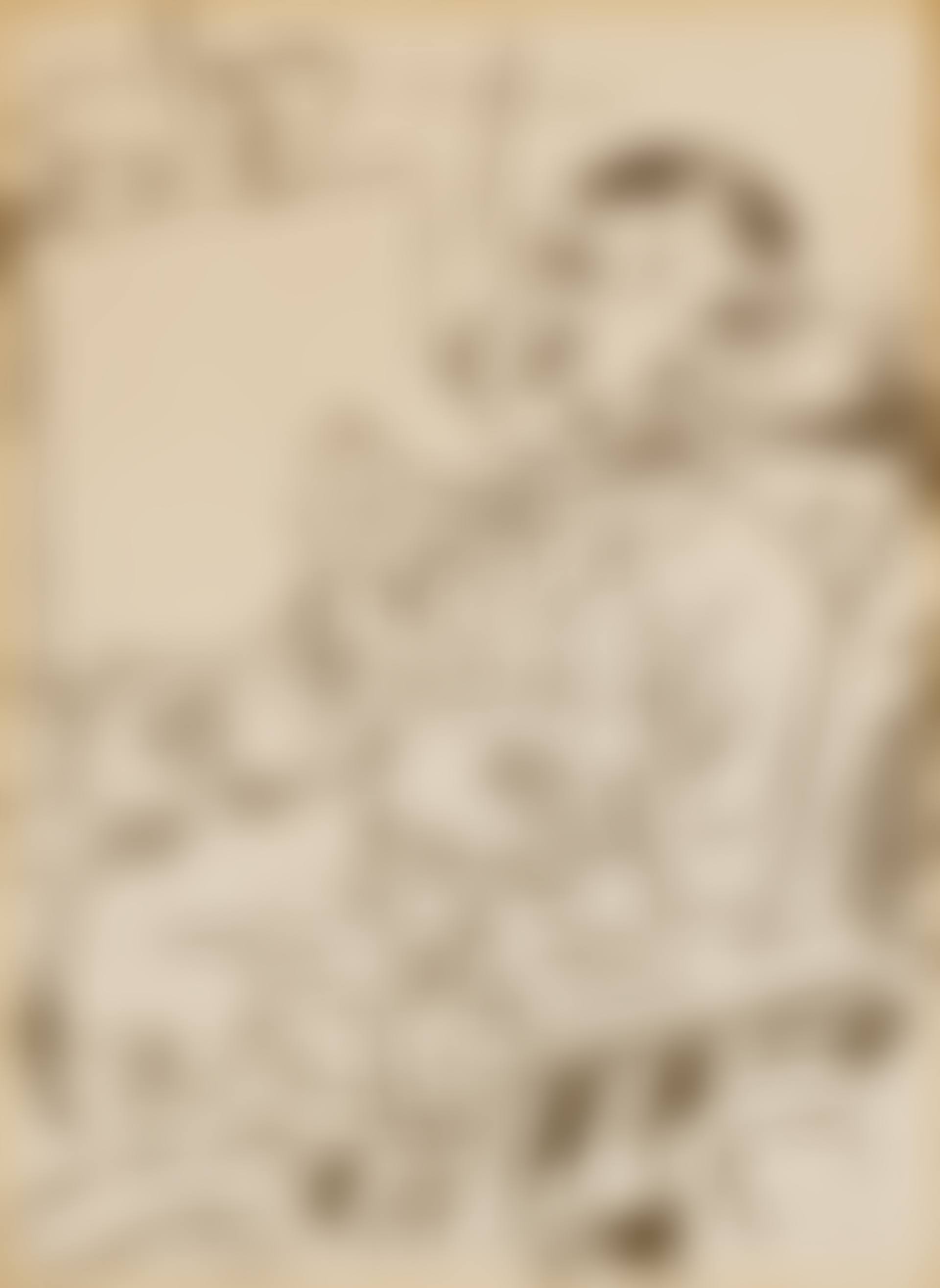 Self-Portrait with Dog in Front of the Easel, from Die Schaffenden (Dückers E101) (preview)