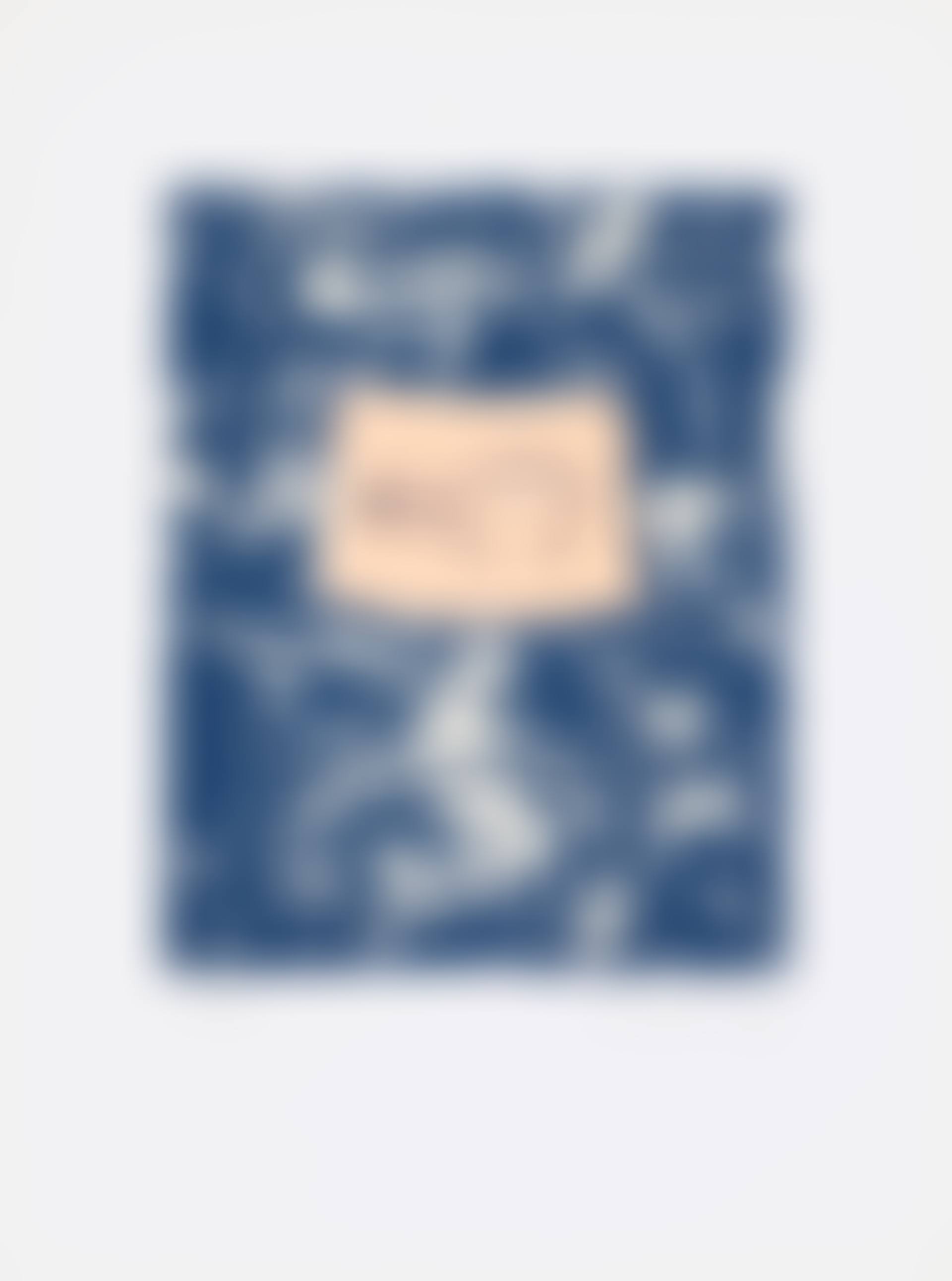 Untitled, from Harvey Gantt Portfolio (ULAE 252, Gemini 1456) (preview)