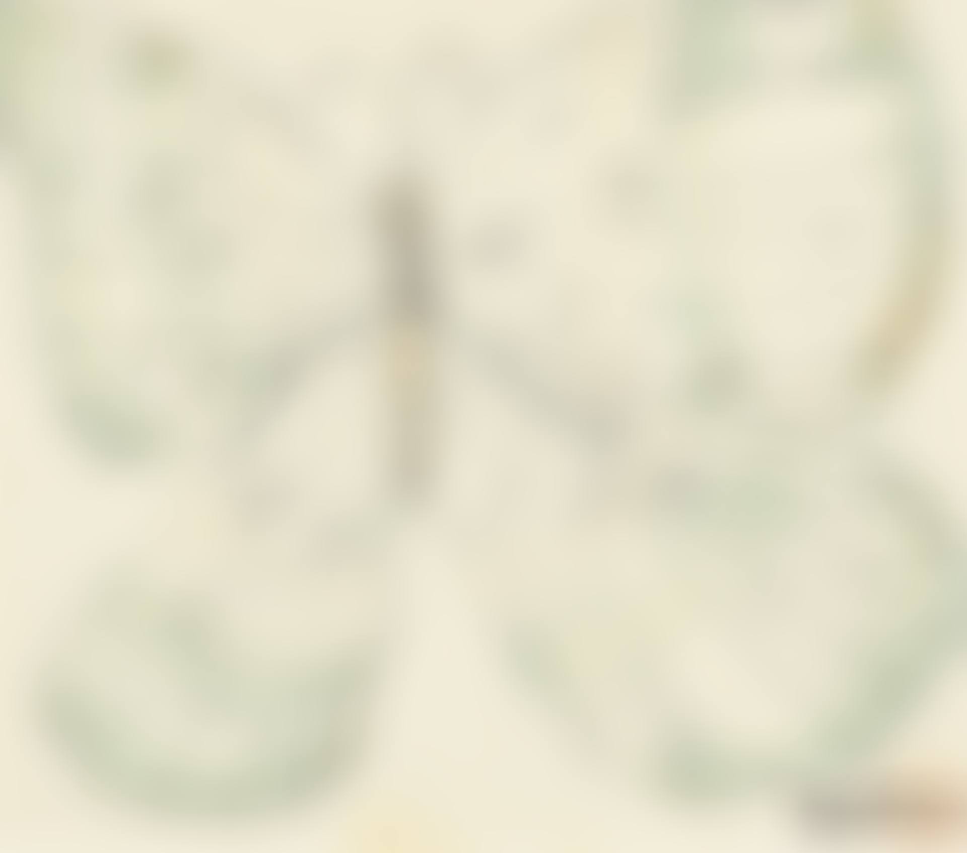 Butterfly (preview)