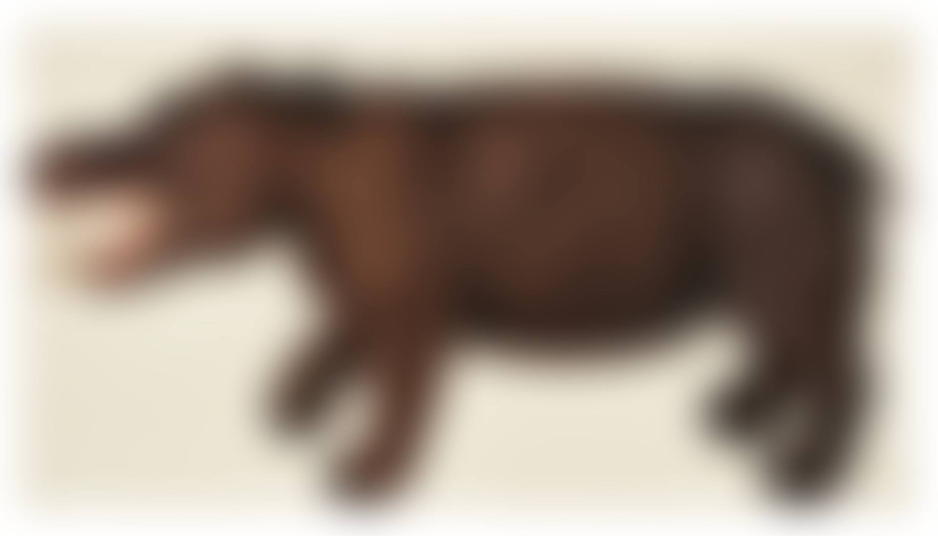 A hippopotamus (preview)