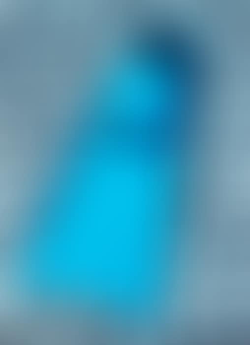 Blue Flipper (preview)