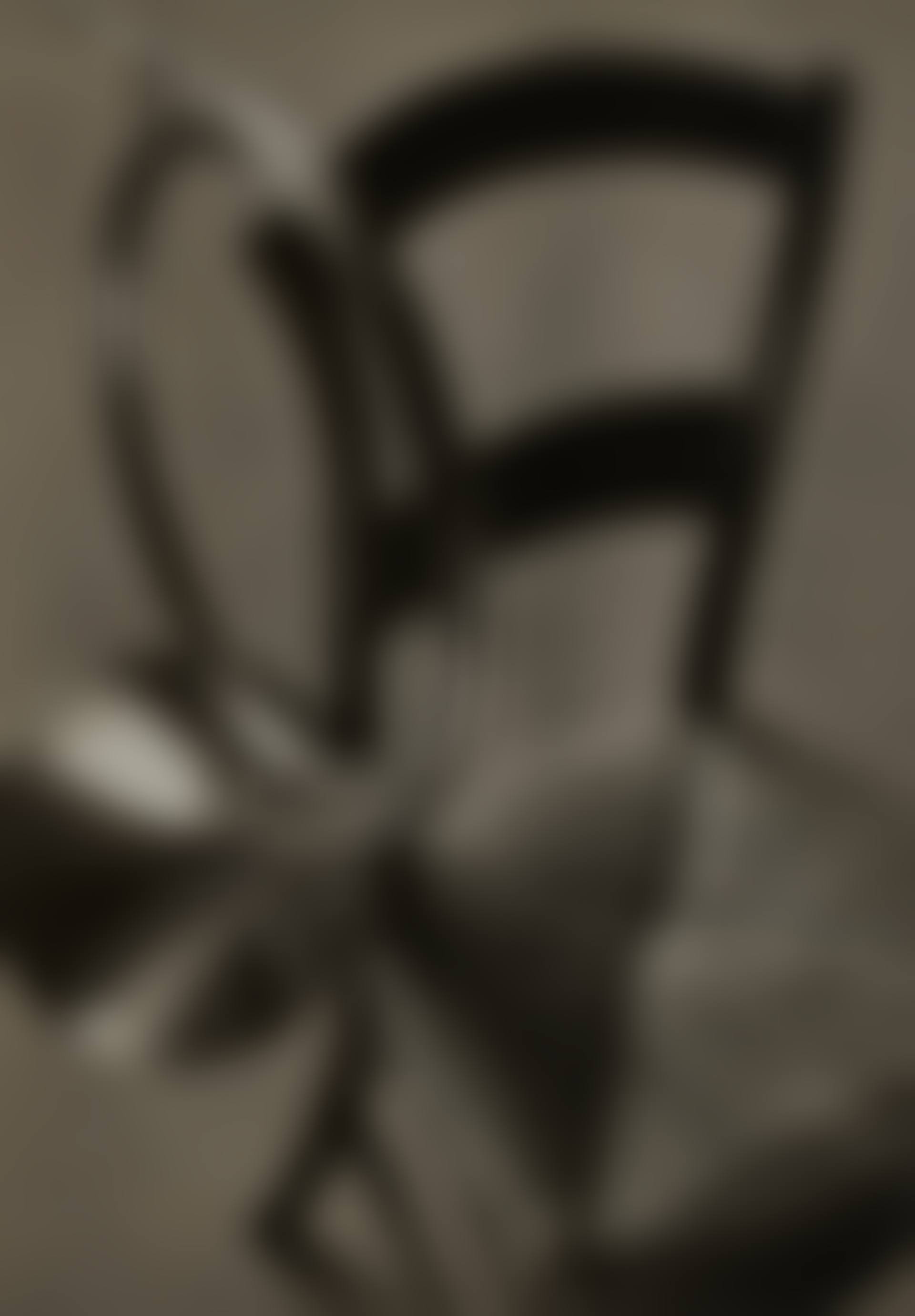 Chair and Horn, Paris (preview)