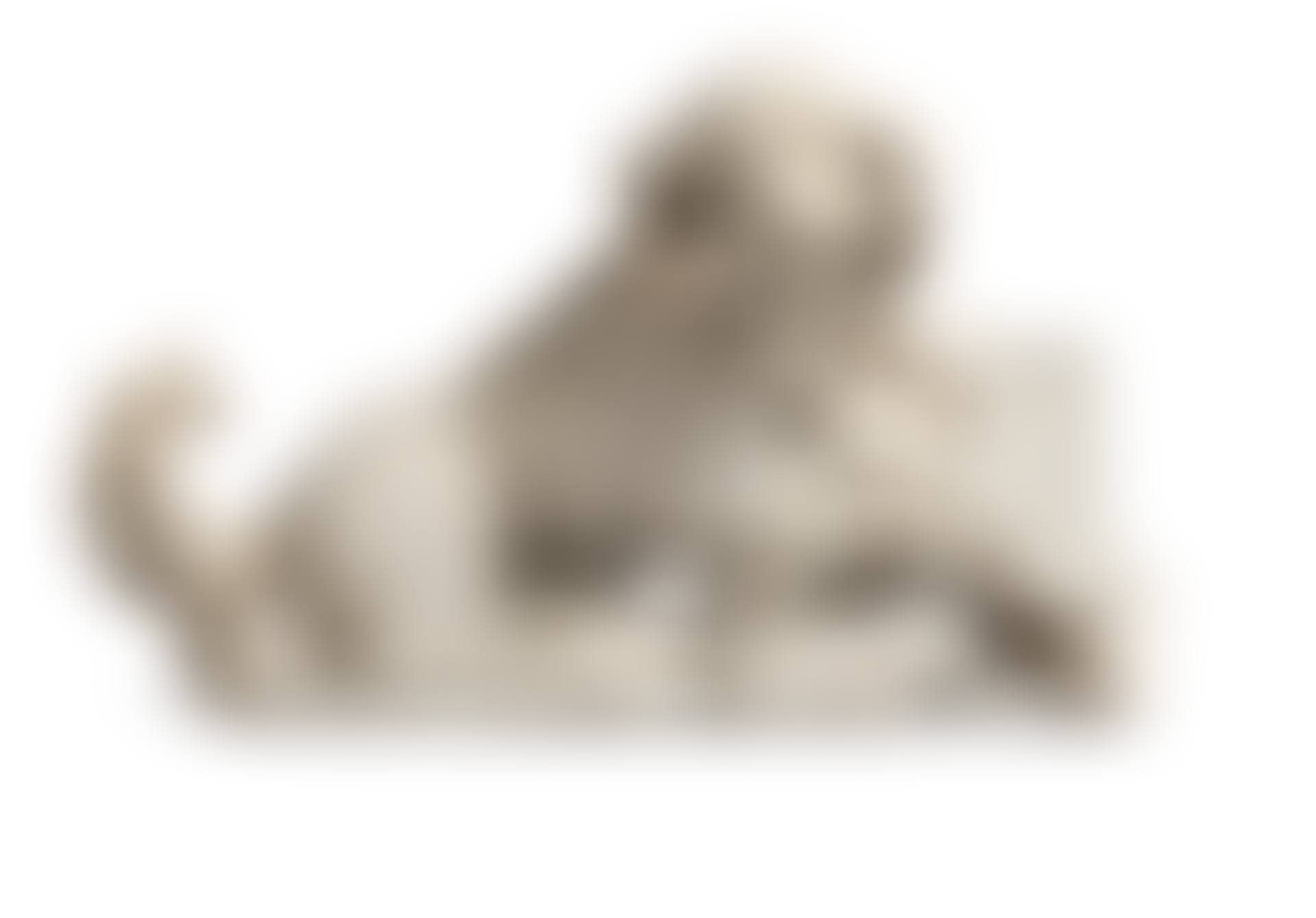 AN ITALIAN WHITE MARBLE MODEL OF A SPANIEL, PERHAPS REPRESENTING "FIDELITY" (preview)