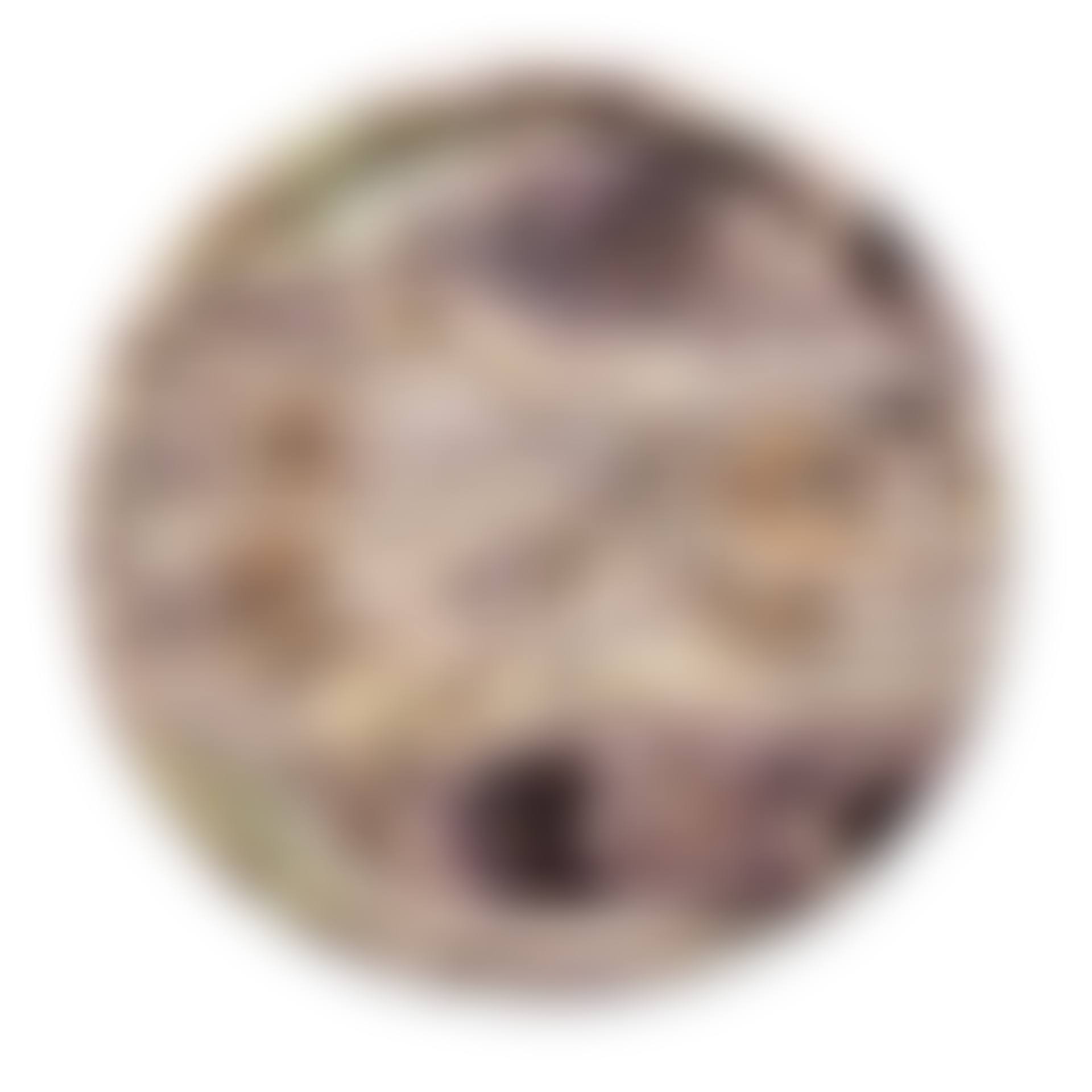 A FLUORSPAR CIRCULAR TABLE TOP (preview)
