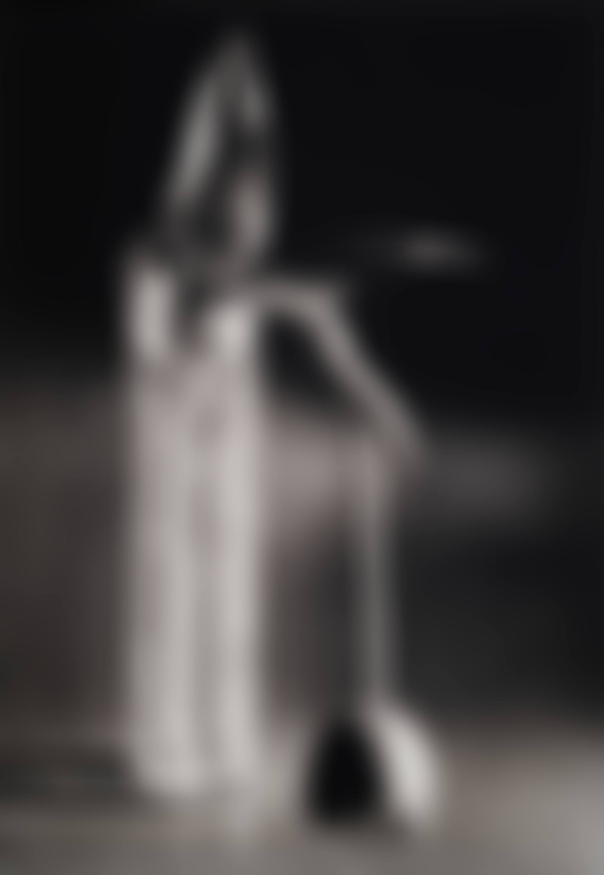 Melancholic Tulip (preview)