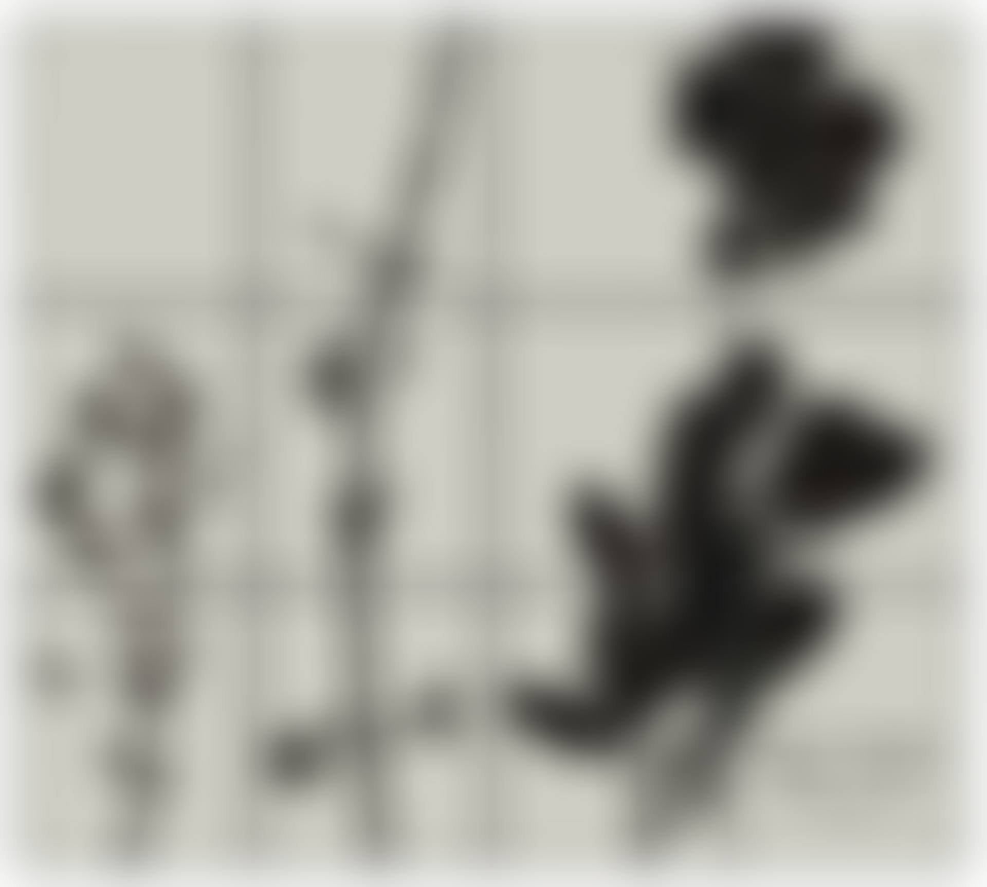 Four Plants (preview)