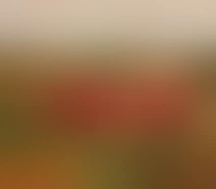 Timaru (preview)