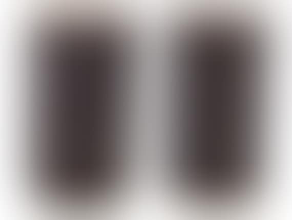 Pair of cylindrical beakers (preview)