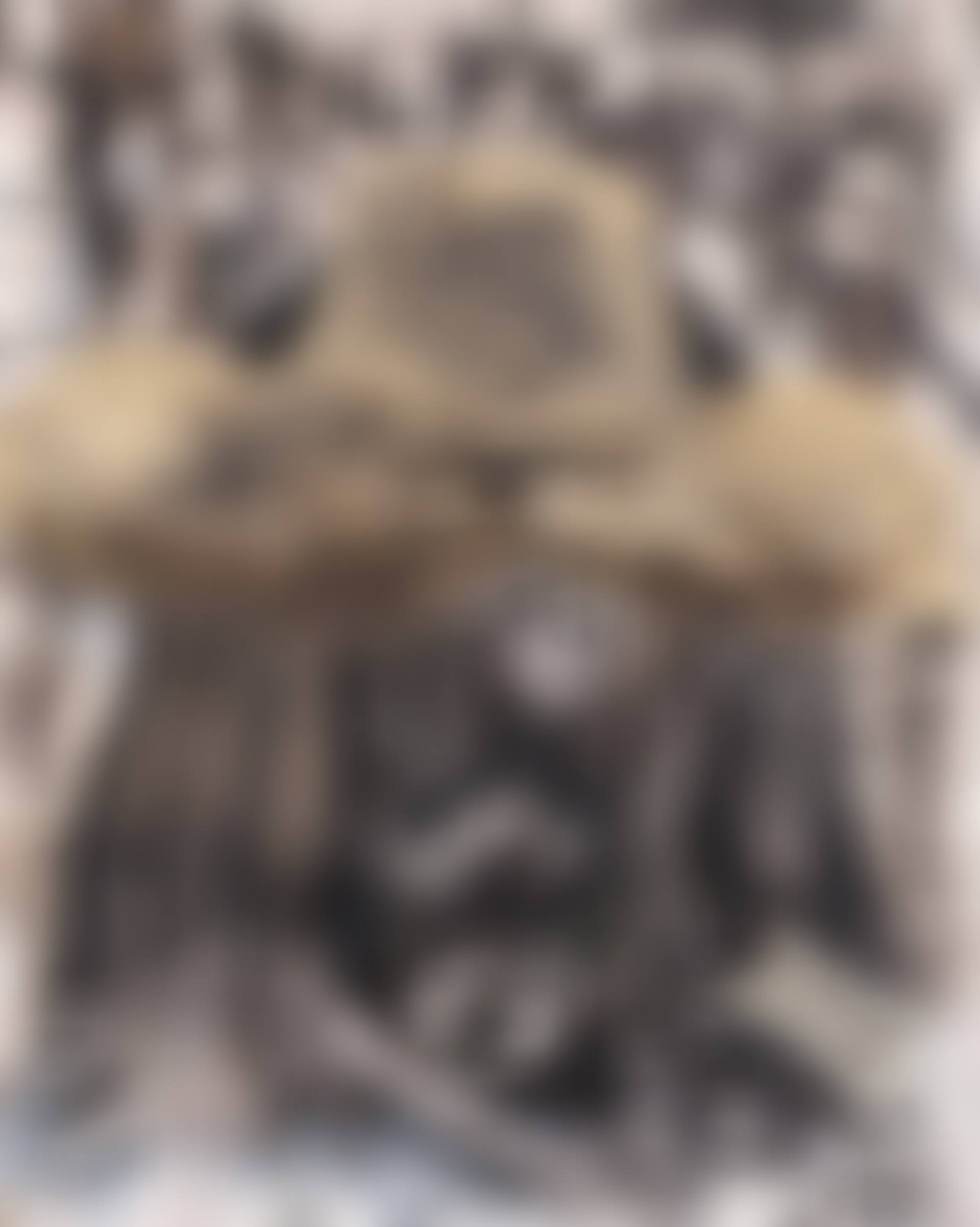 Der Ölsheriff Japans (preview)