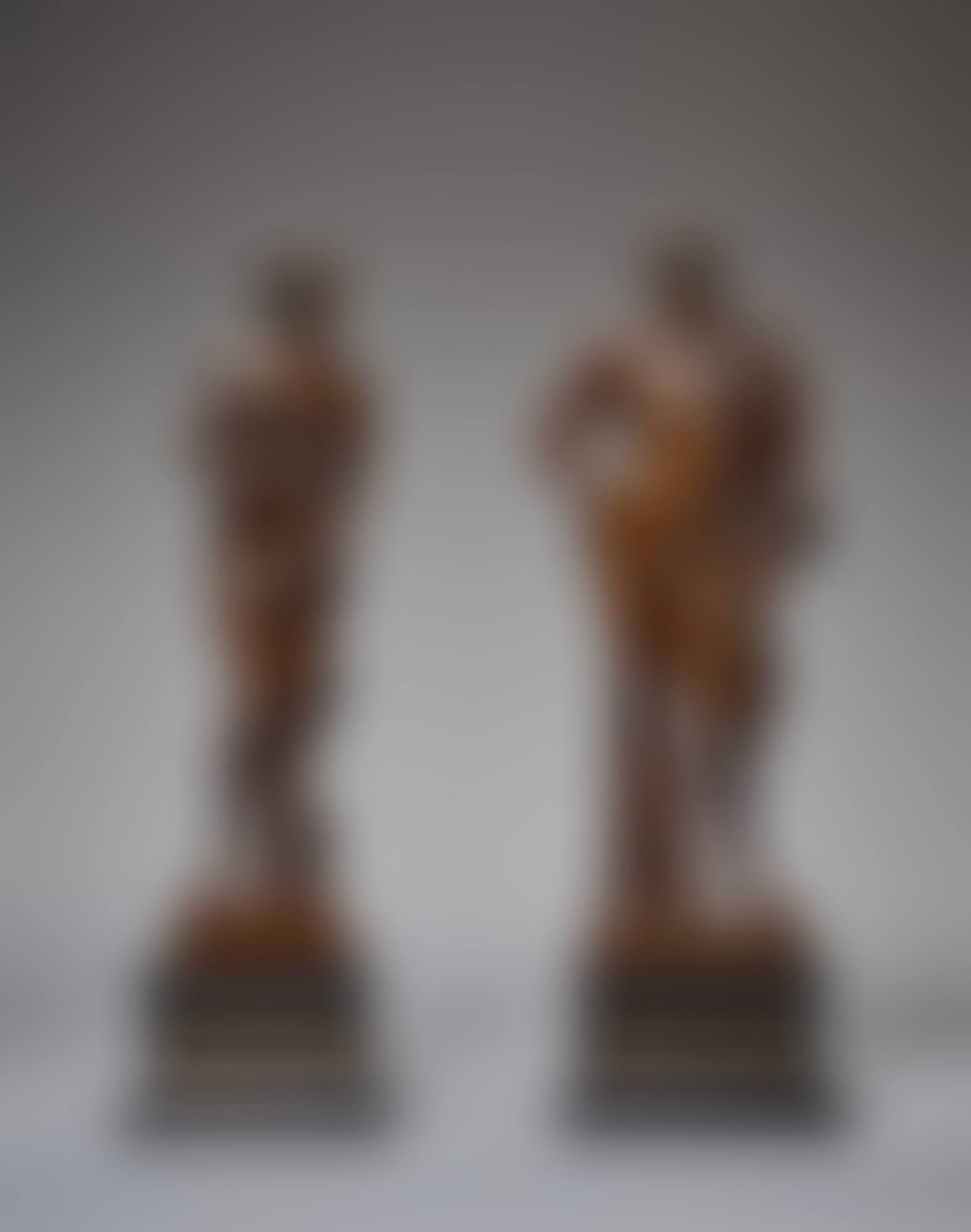 Venus de"Medici and Belvedere Antinous (preview)