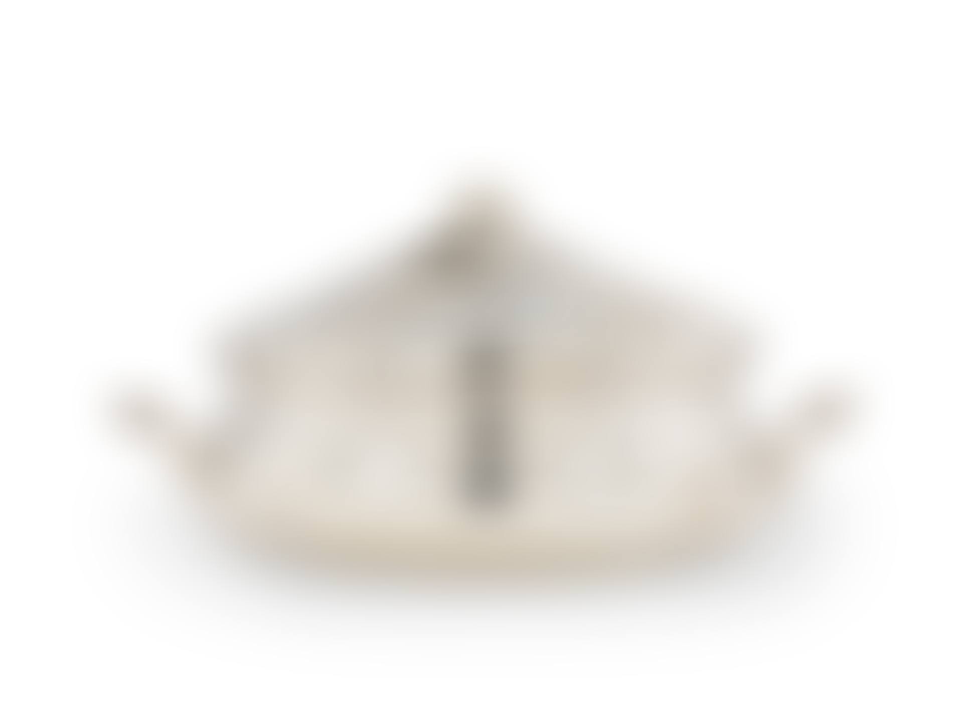 Vegetable tureen (preview)