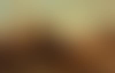 Cattle resting (preview)
