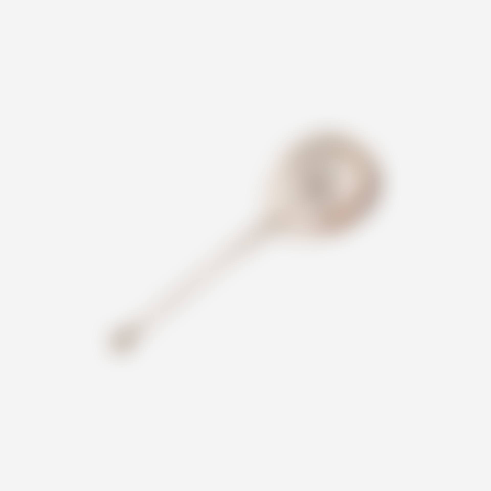 AN ELIZABETH I SILVER SEAL-TOP SPOON (preview)