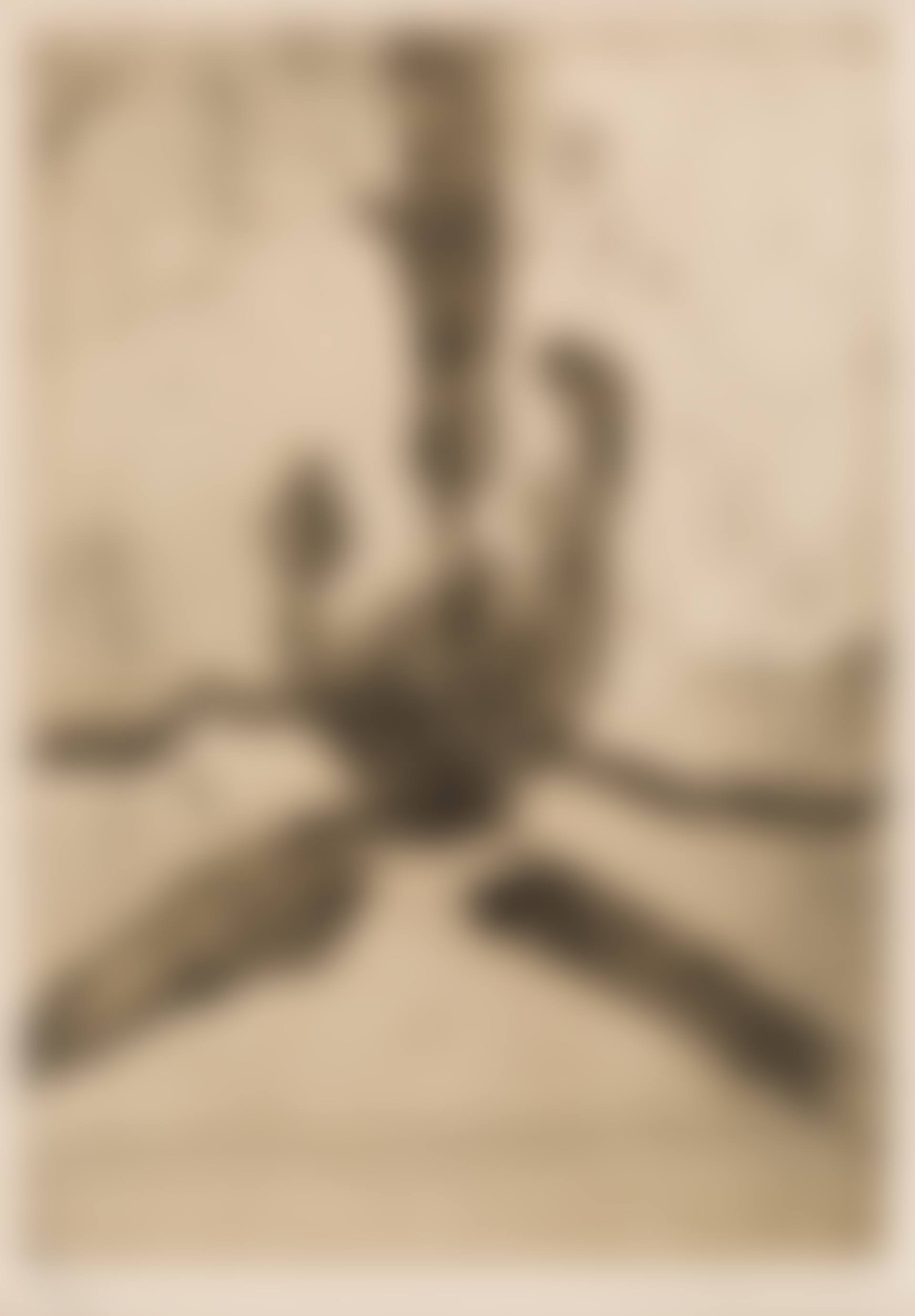 Untitled, from Paroles Peintes III (preview)
