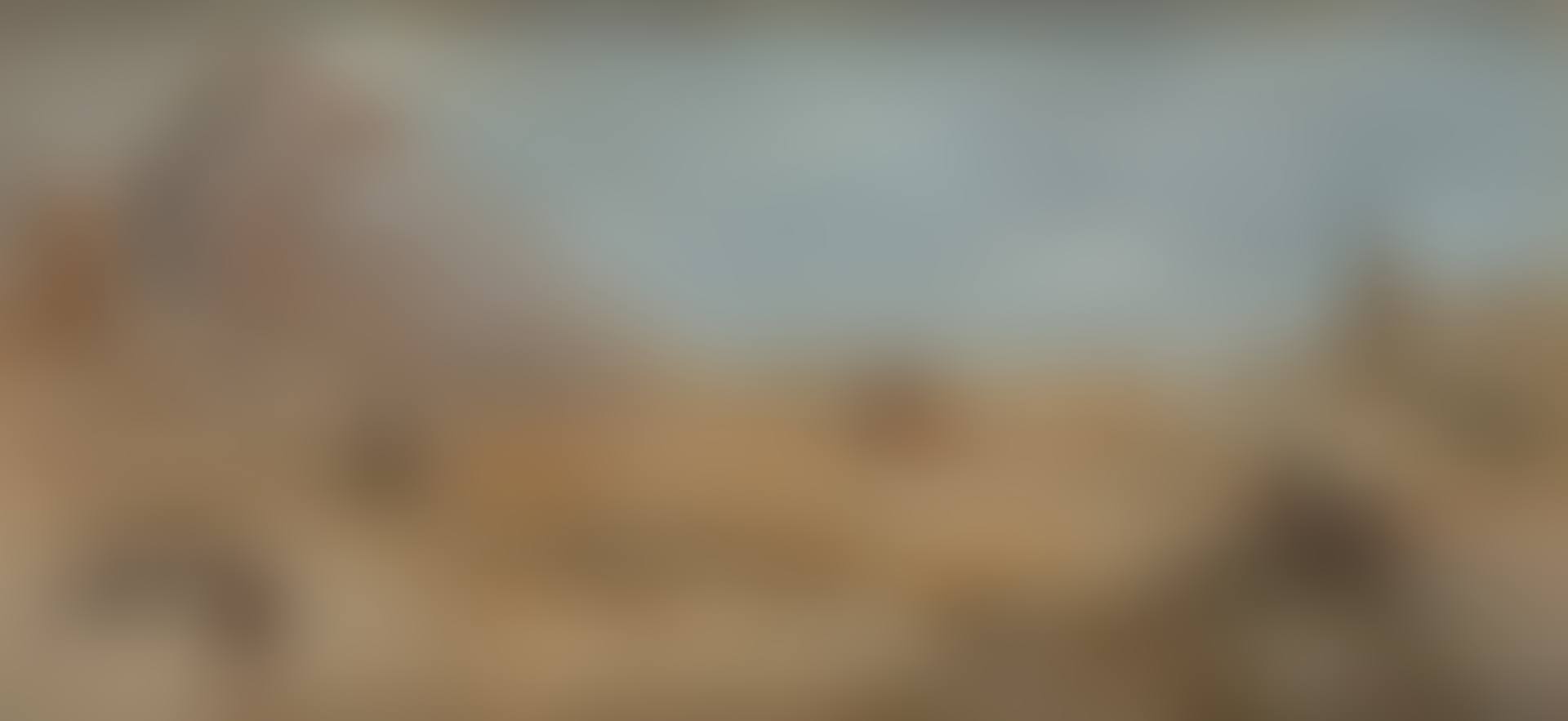 Desert Landscape (preview)