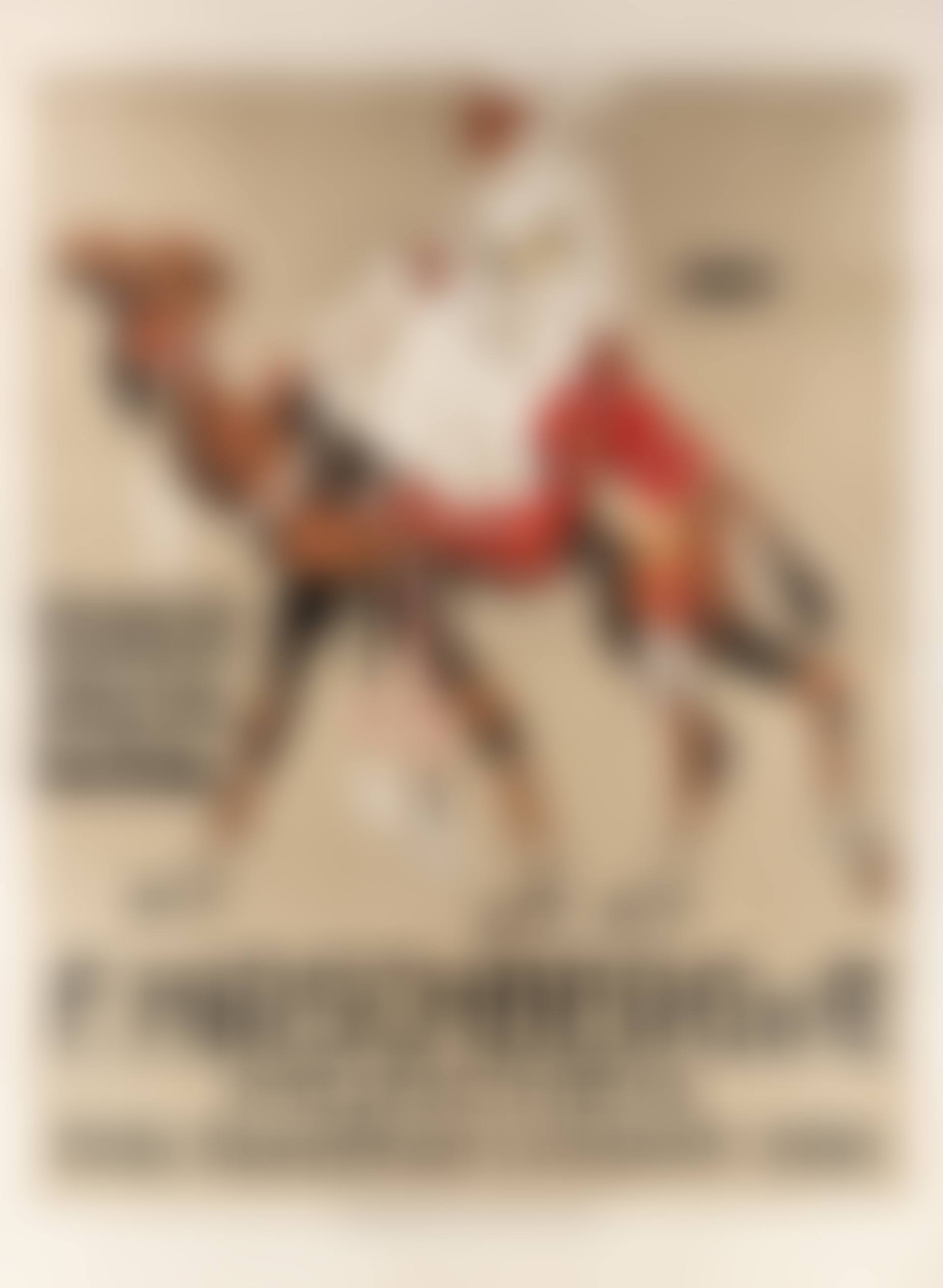 AN ADVERTISEMENT POSTER (preview)