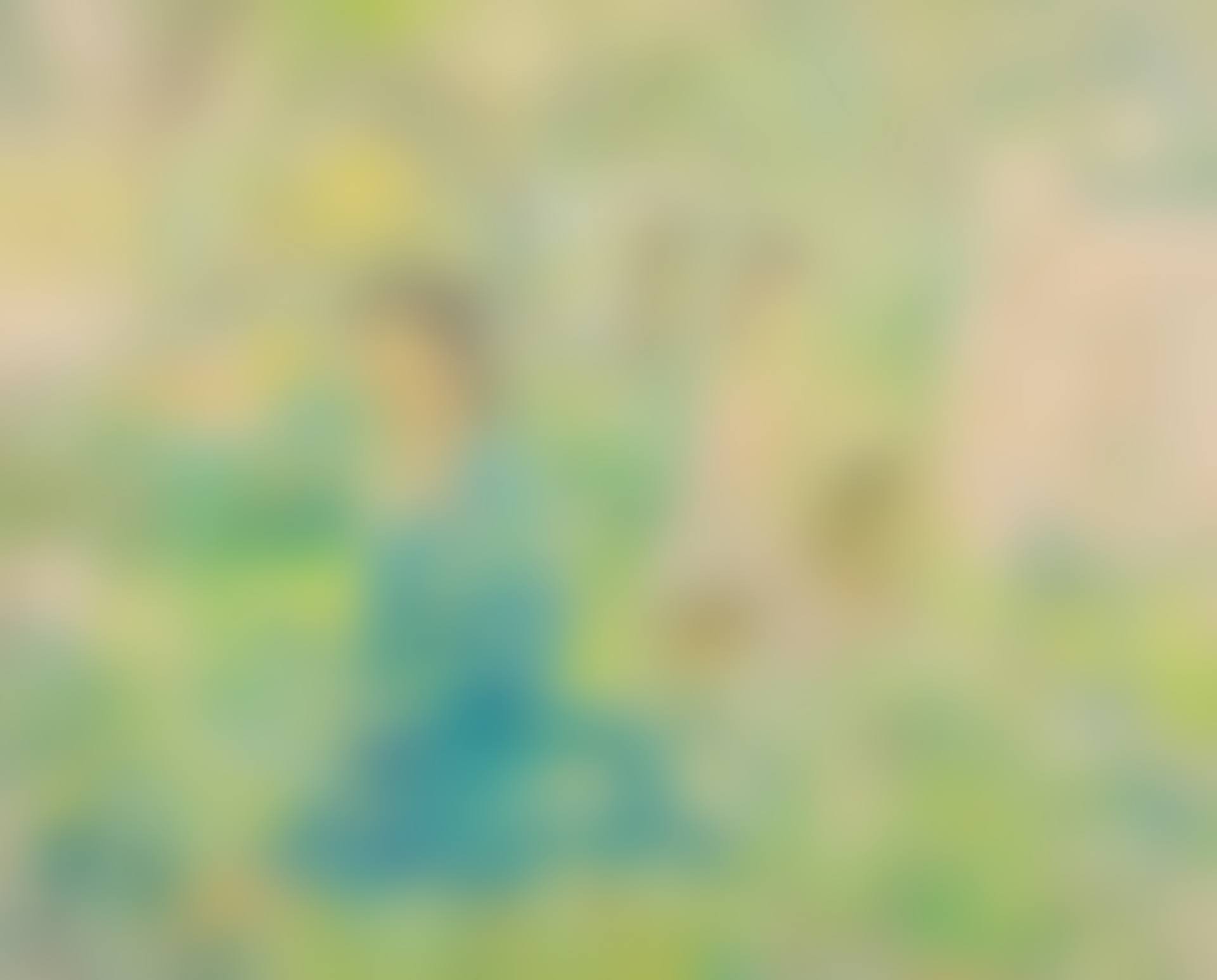 Figures dans le jardin (Composition) (preview)