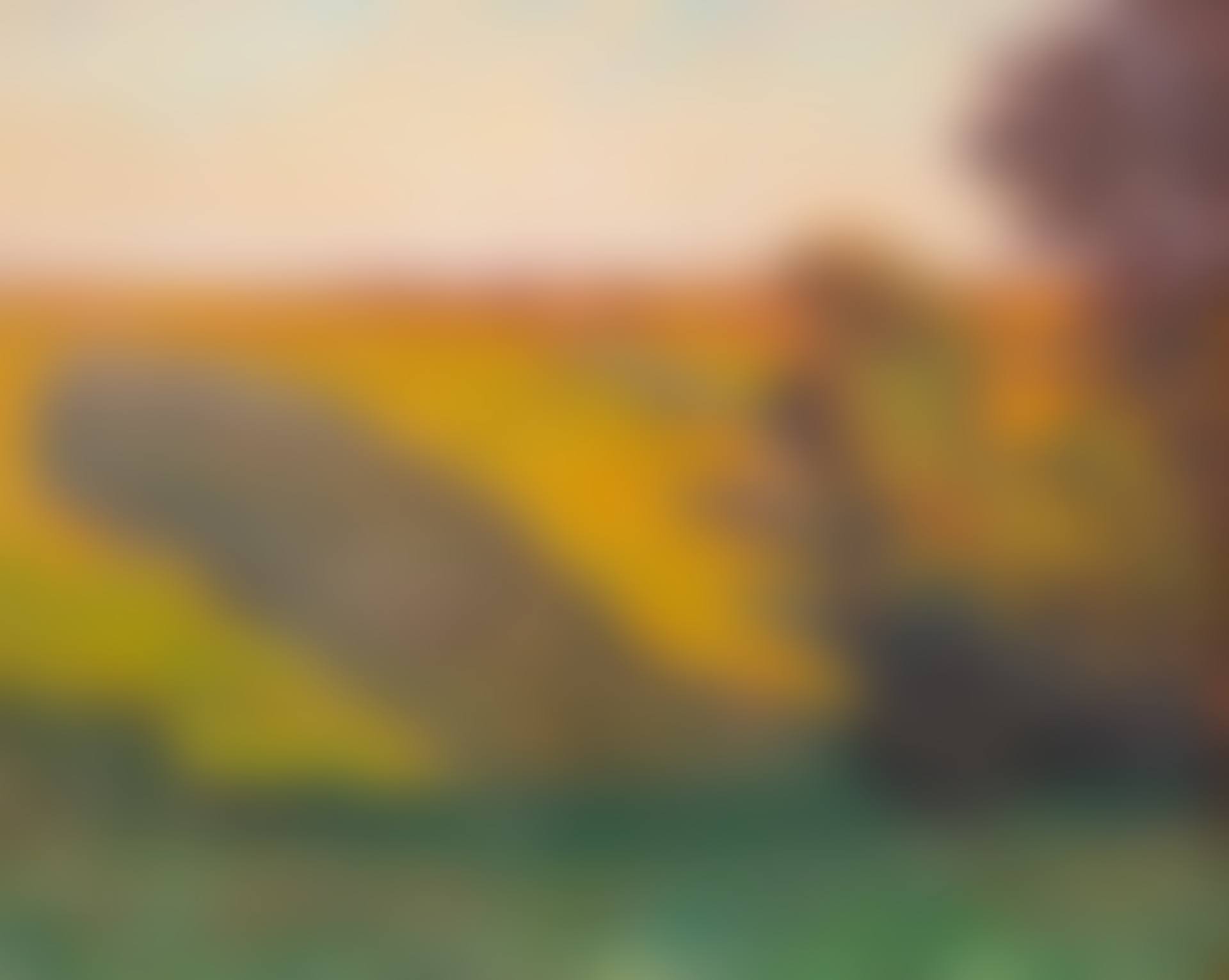 Sunlit Landscape at Twlight (preview)