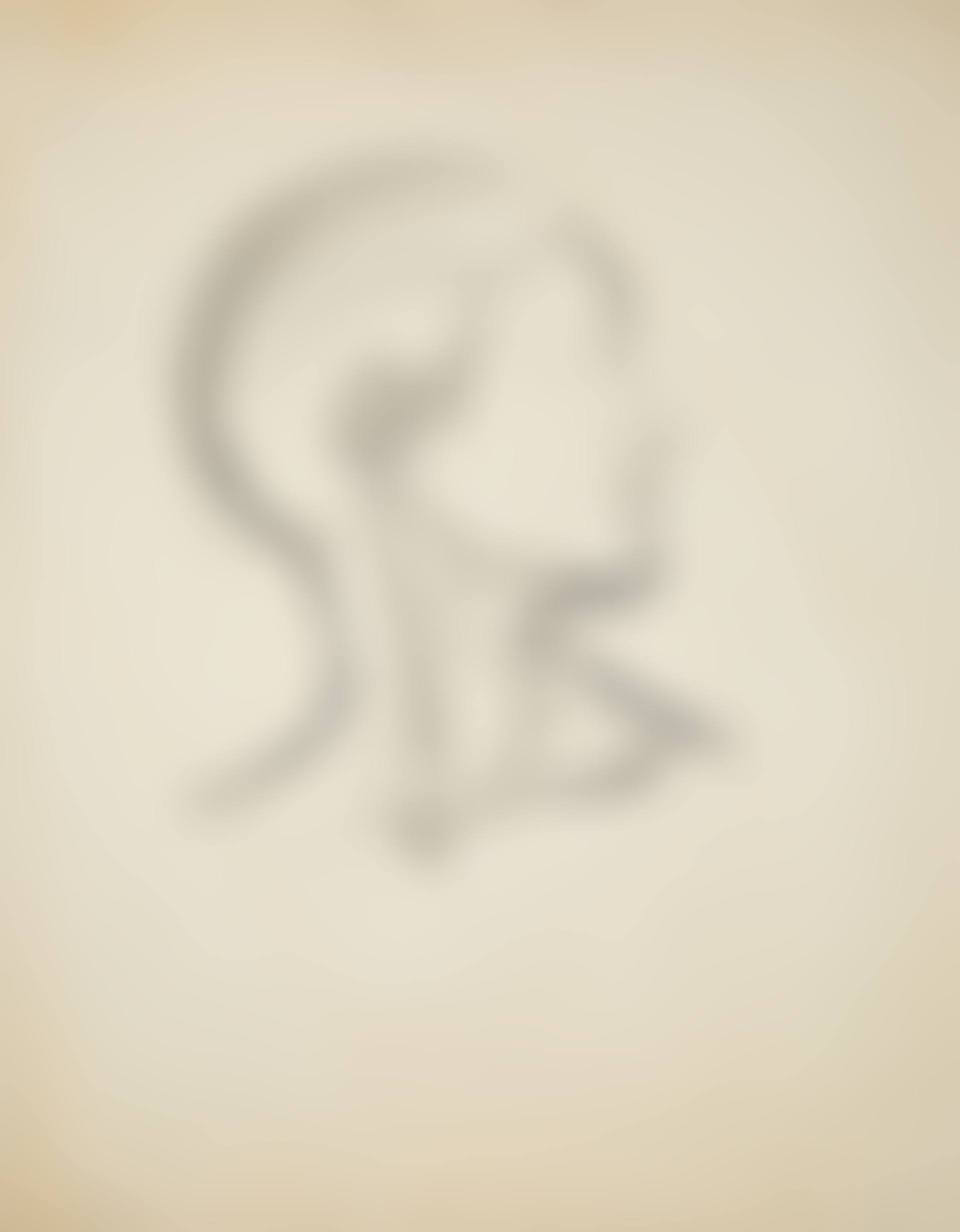 Head of Man in Profile (preview)