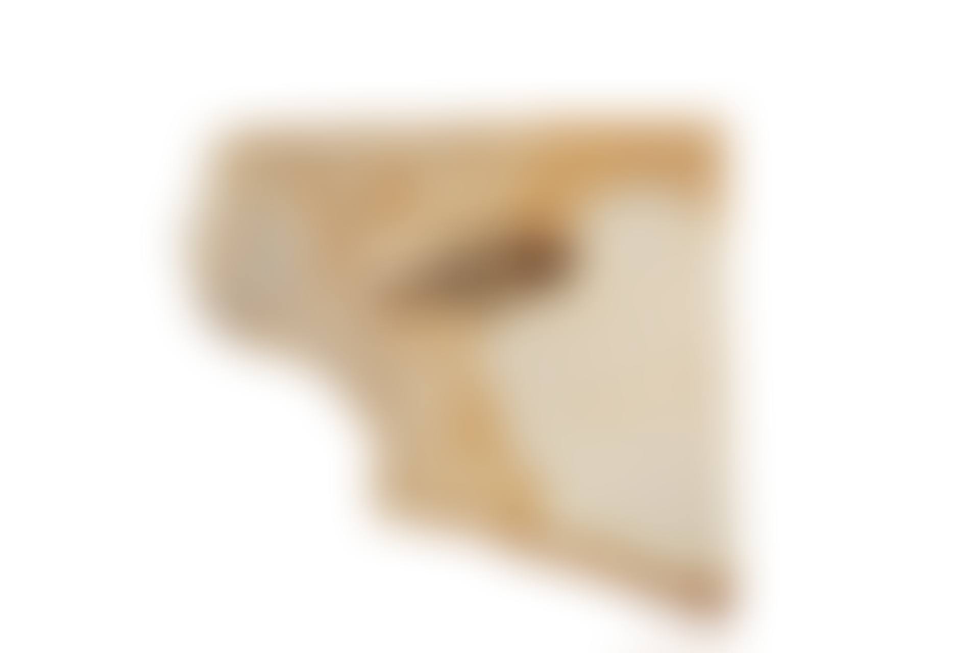 A FOSSILIZED KNIGHTIA FISH (preview)
