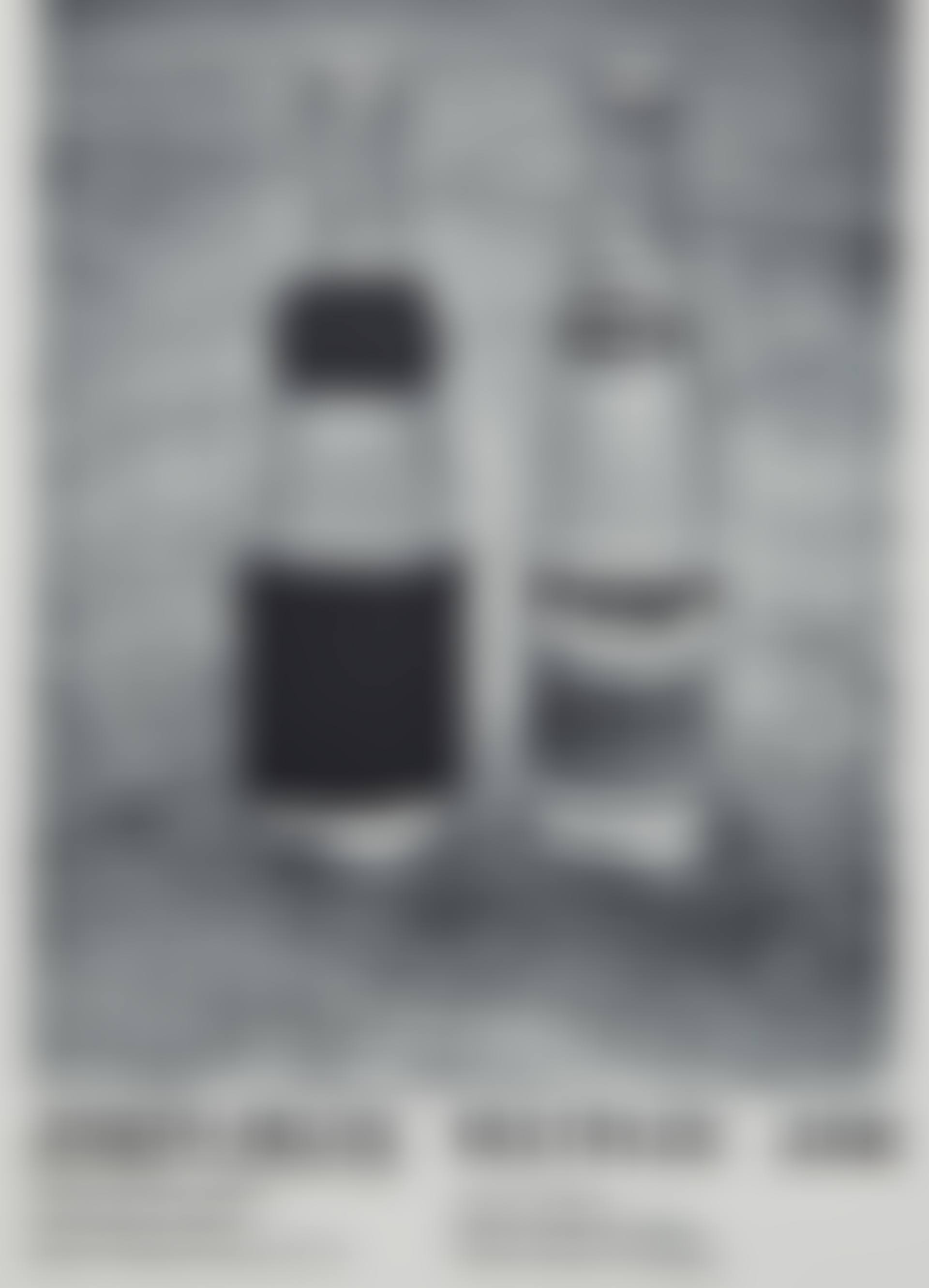 First Exhibition in the United States, Harcus Krakow Gallery (preview)