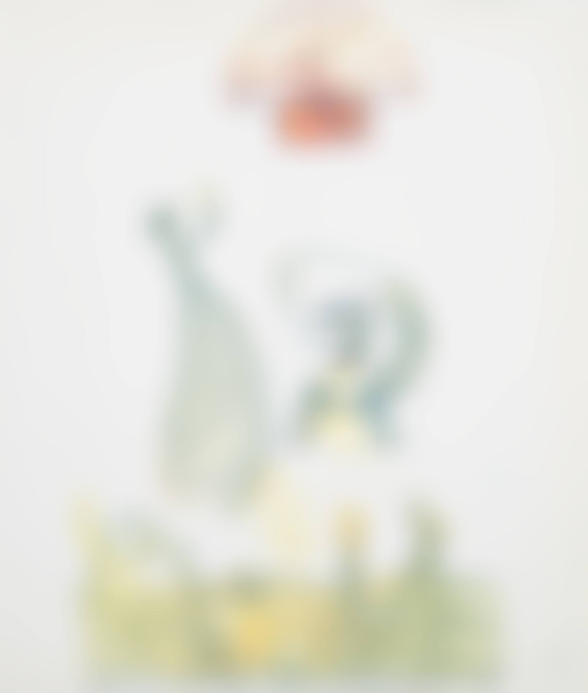 Project for the soldiers' walk (preview)