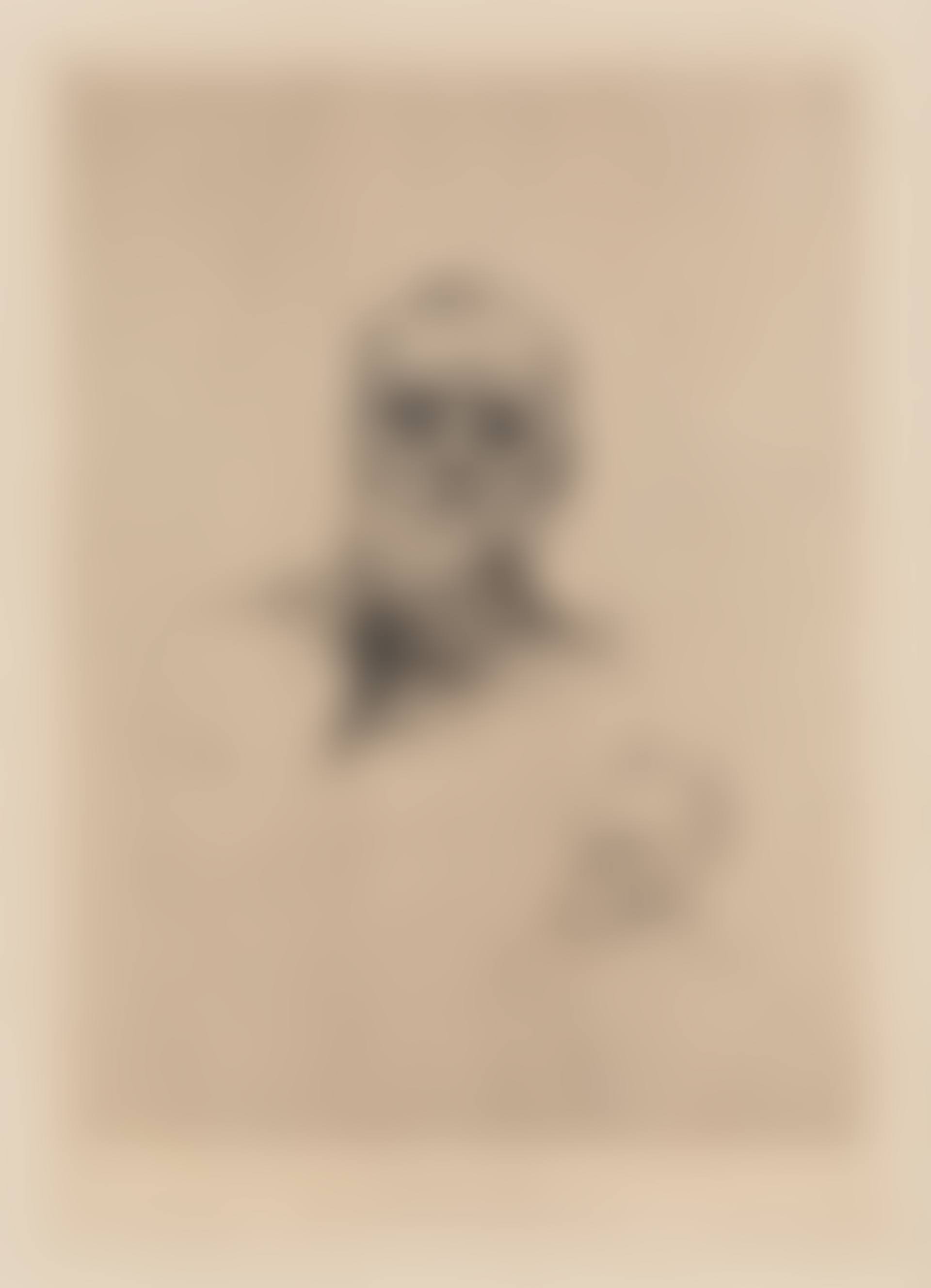 Victor Hugo, de face (Delteil 7) (preview)