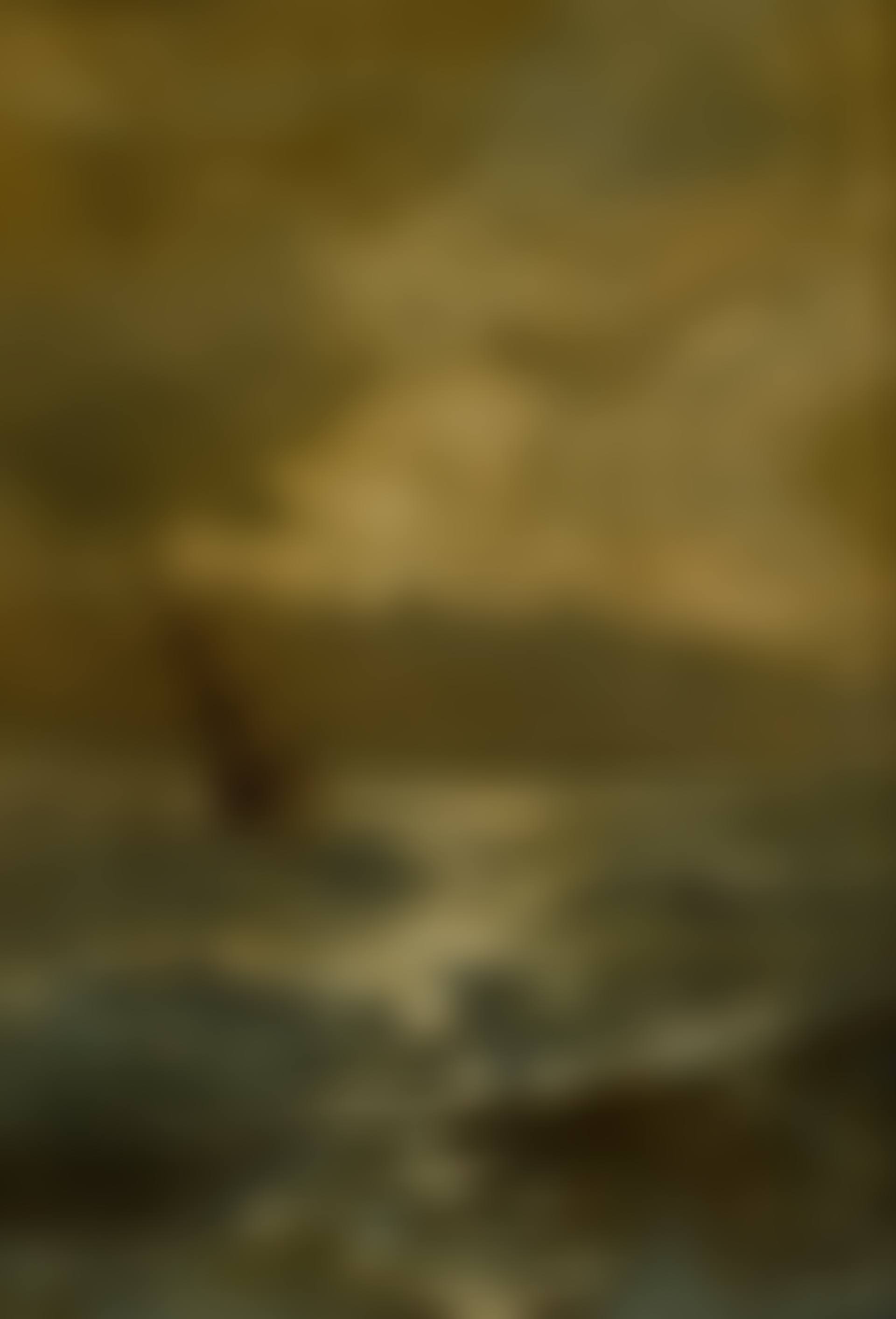 A Ship in Stormy Seas (preview)