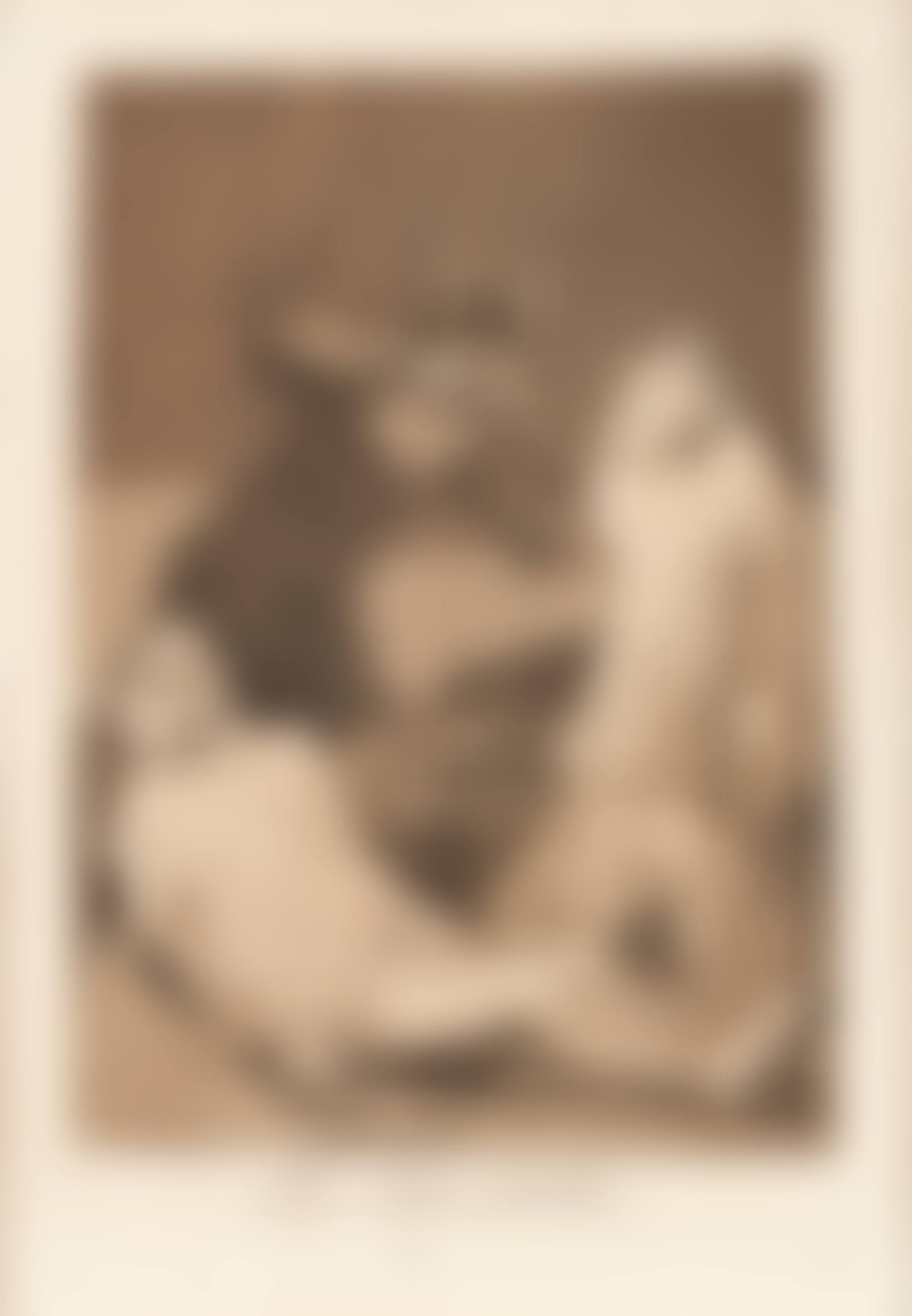 THREE POSTHUMOUS PRINTS; Los Chinchillas (Harris 85) from Los Caprichos of 1799; El Buitre Carnivoro (Harris 196) from Los Desastres de la Guerra; Se Defiende Bien (Harris 198) from Los Desastres de la Guerra (preview)