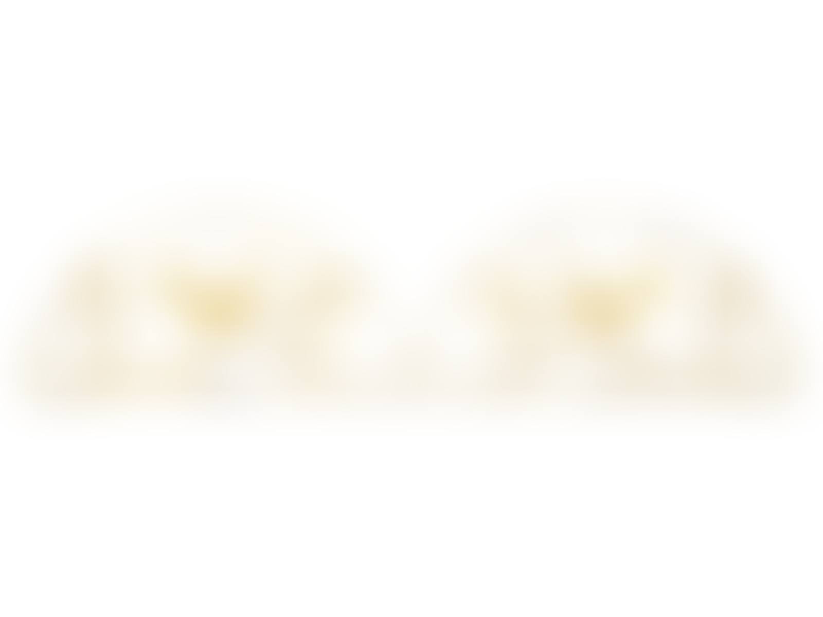 A Pair of Gilded Wrought Iron Demilune Transom Decorations (preview)