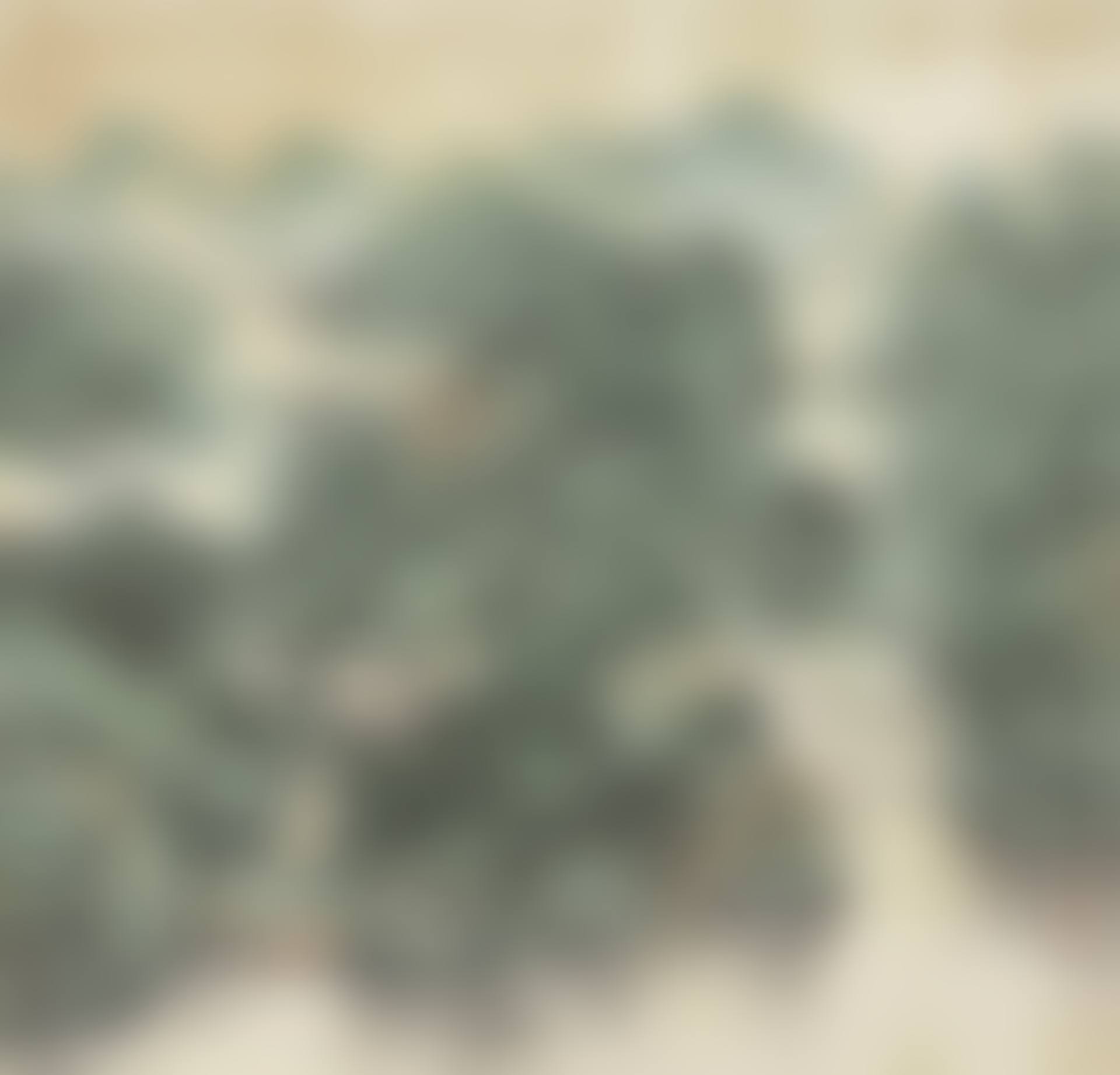 Misty Landscape (preview)