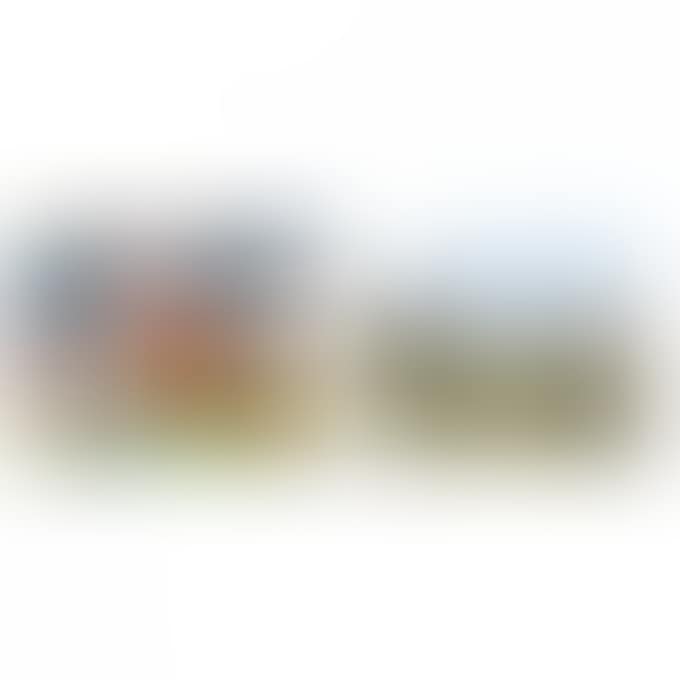 (1)APRICOT FARM IN SHINSHU NO MORI (2) TOGAKUSHI RENZAN 2 WORKS (preview)