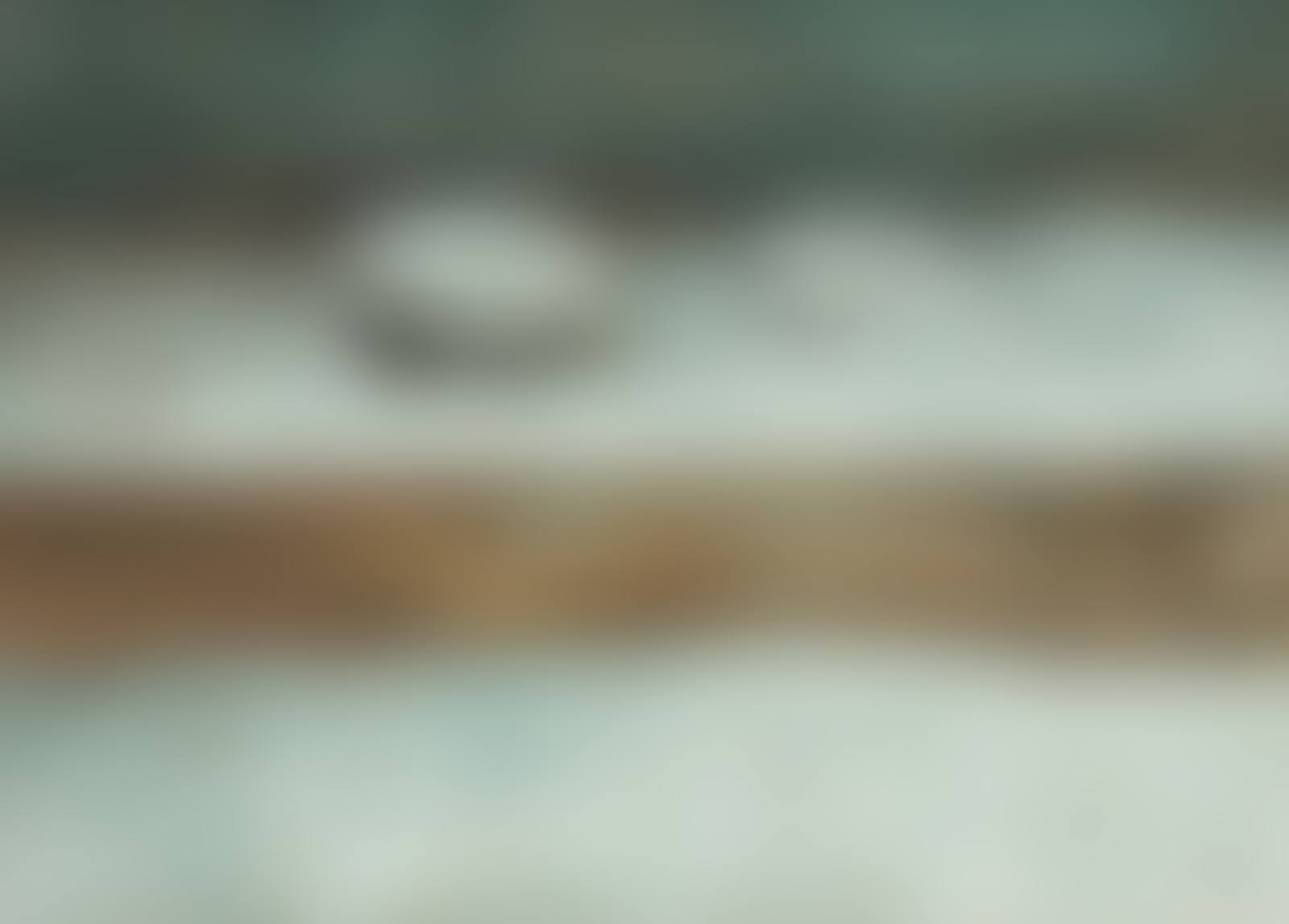 Crocks (preview)