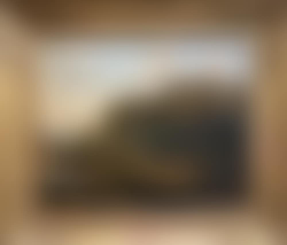 Paysage fluvial animé de personnages (preview)