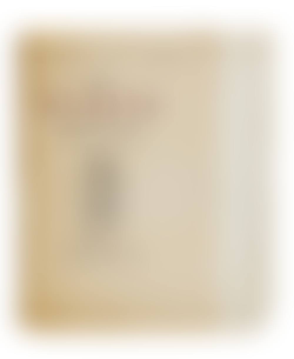 Volume VII of the magazine Les Écrits nouvelles (preview)