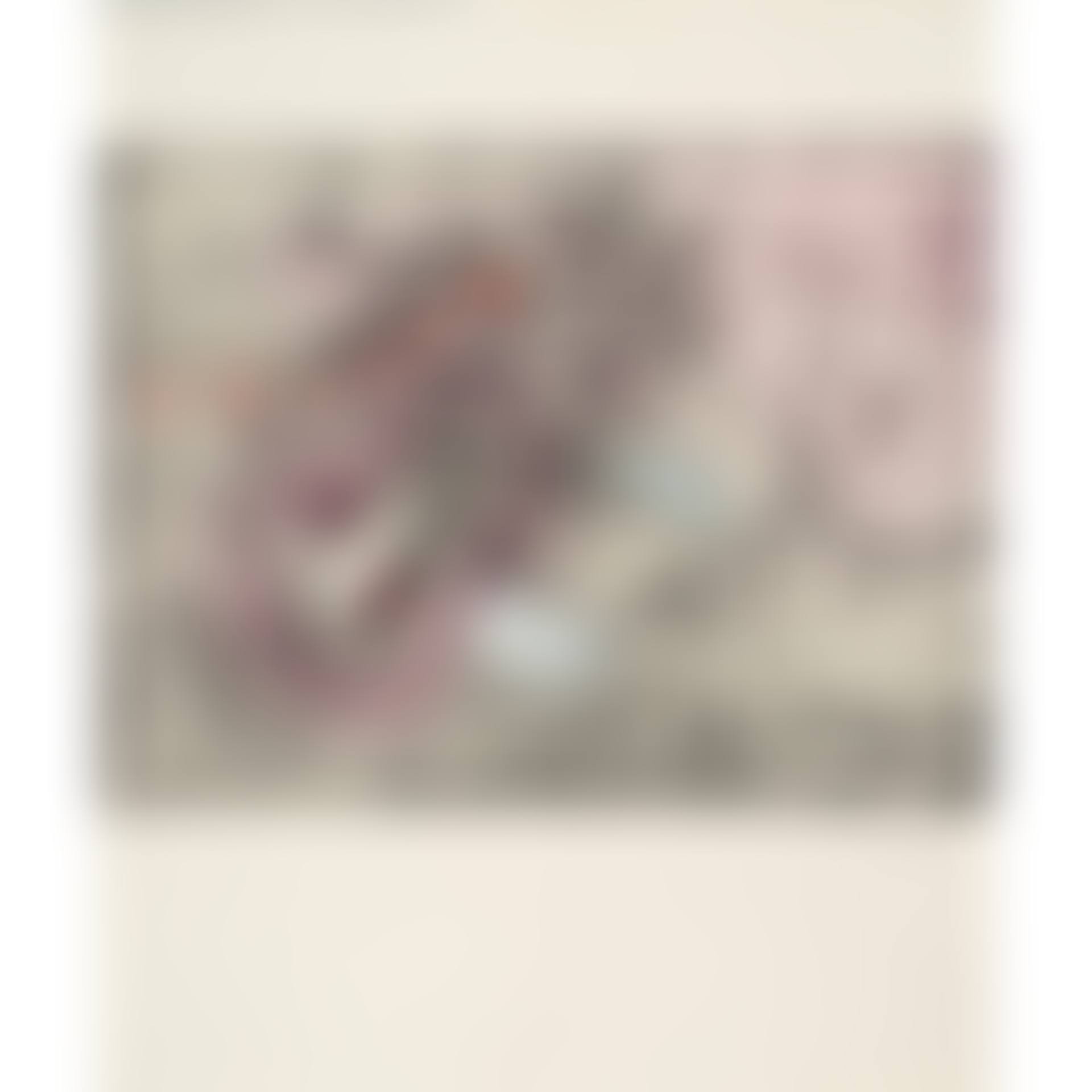 Plates 6 and 13, from Come detta dentro vo significado (2 works) (Sabatier 64; 71) (preview)